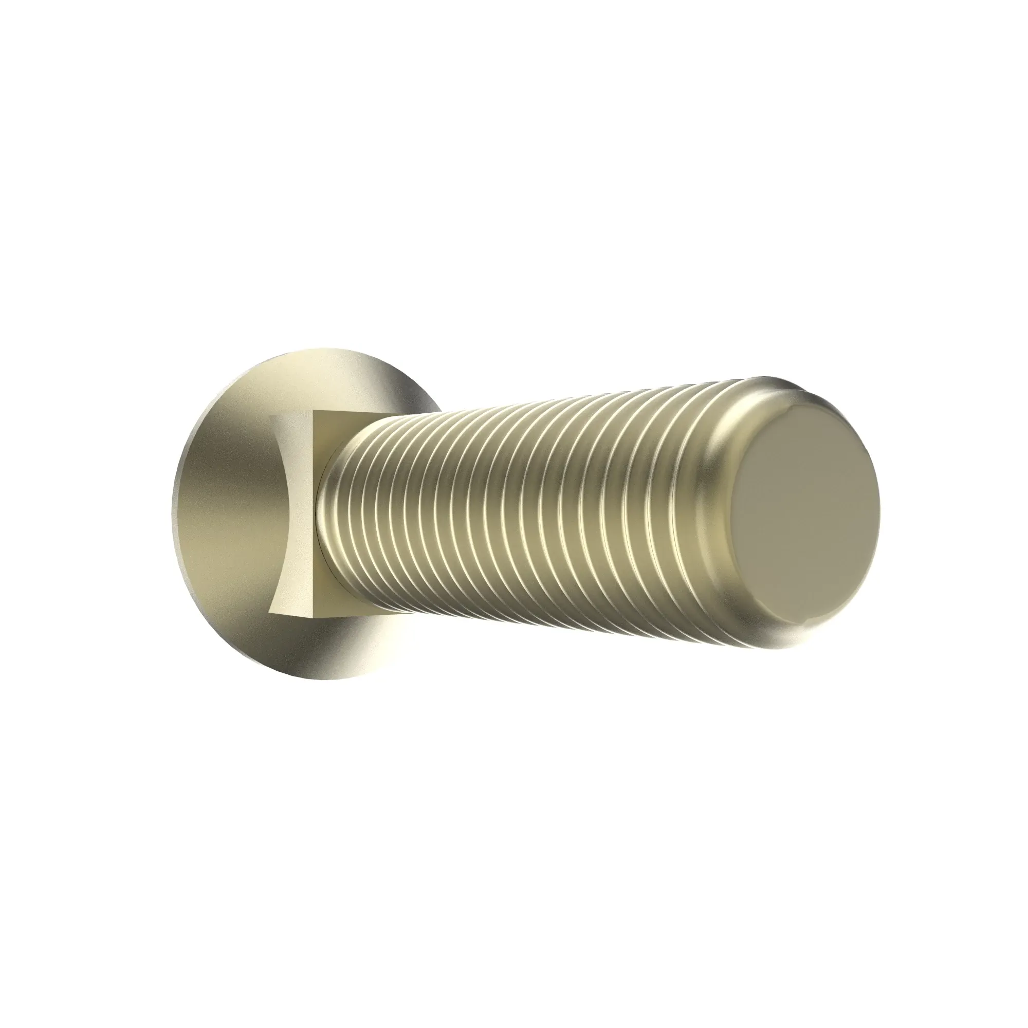 Bolt