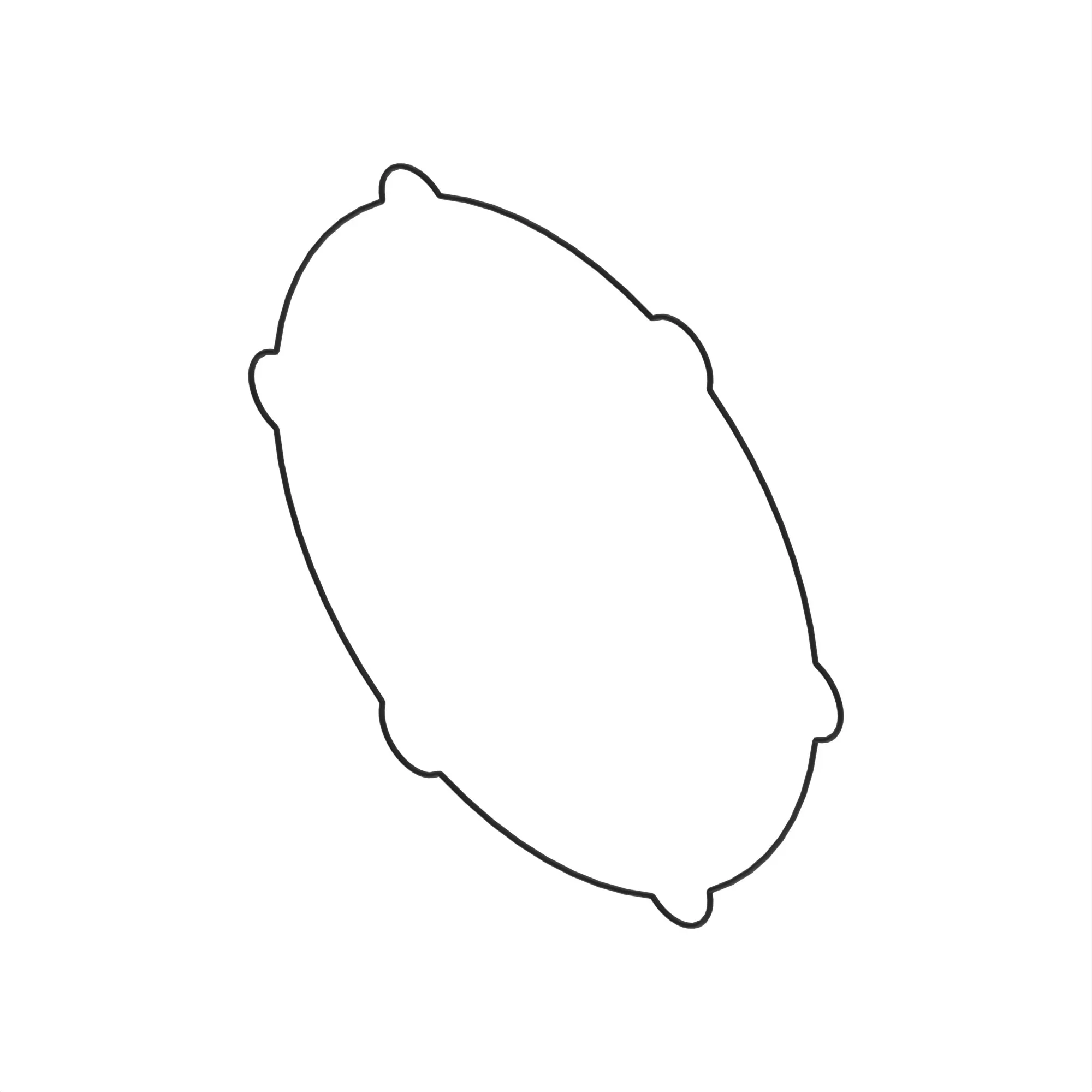 O-Ring
