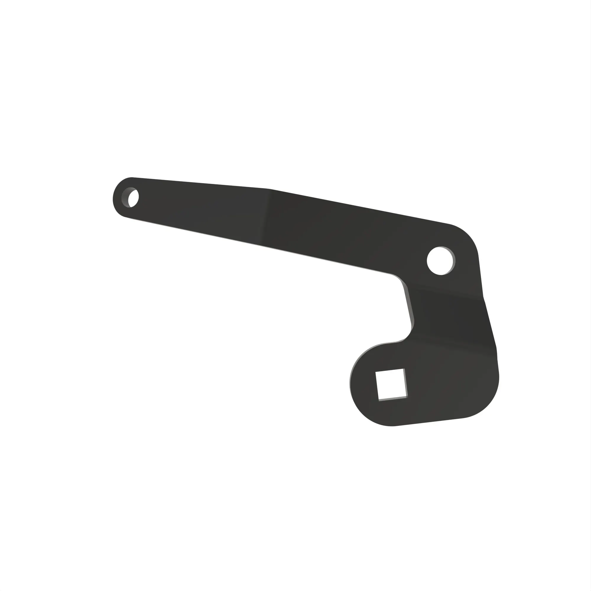arm