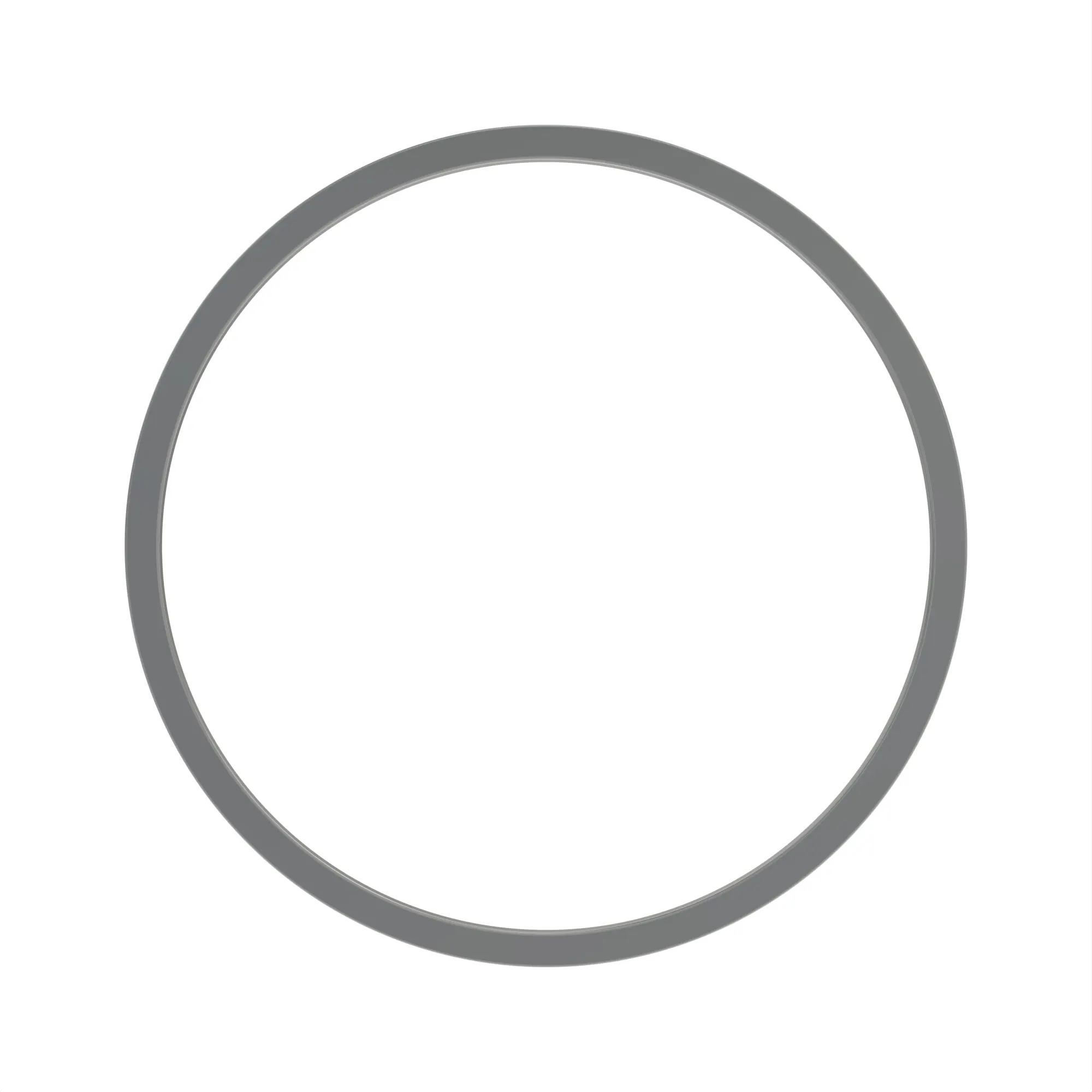 BACK-UP RING