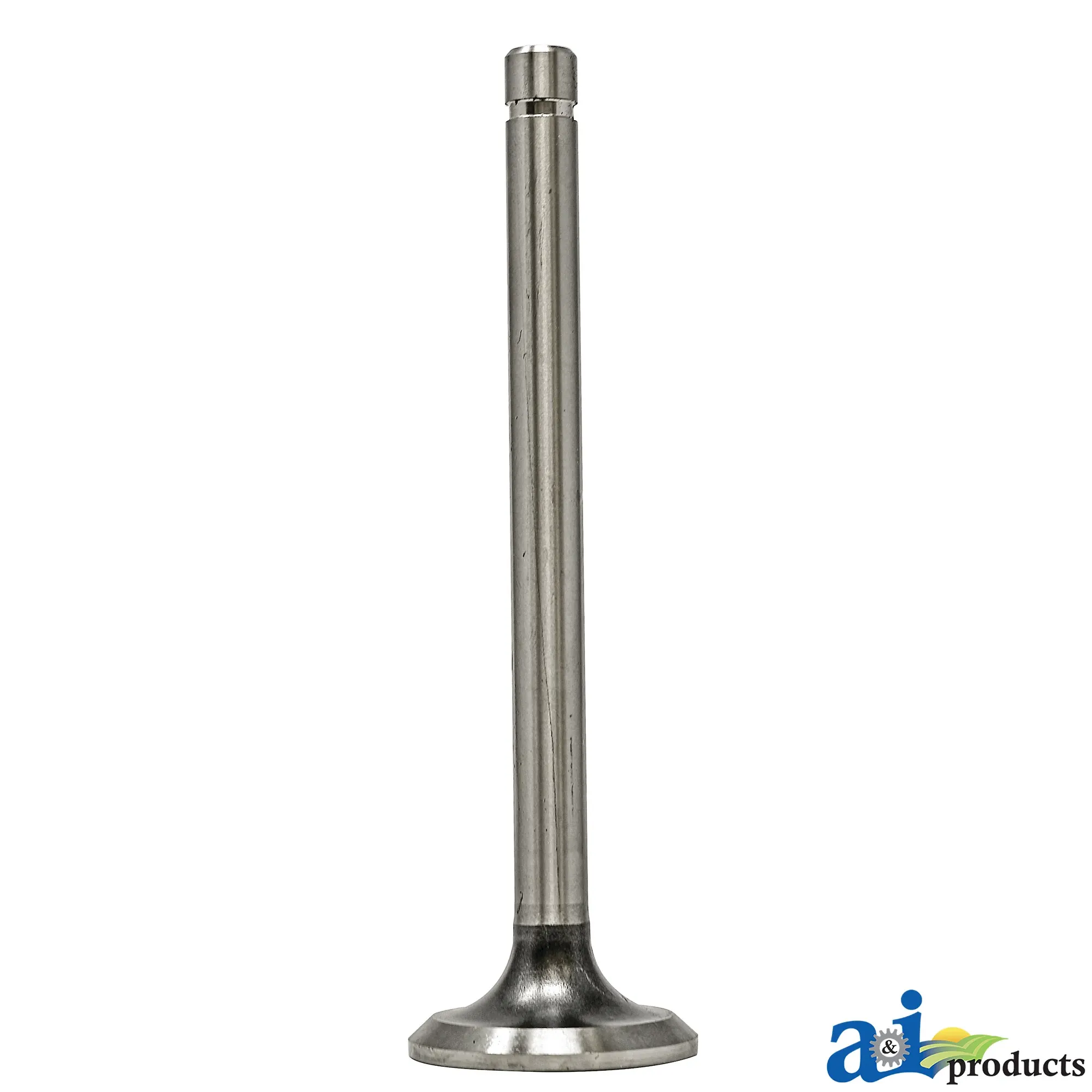 Exhaust Valve