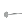 Intake Valve