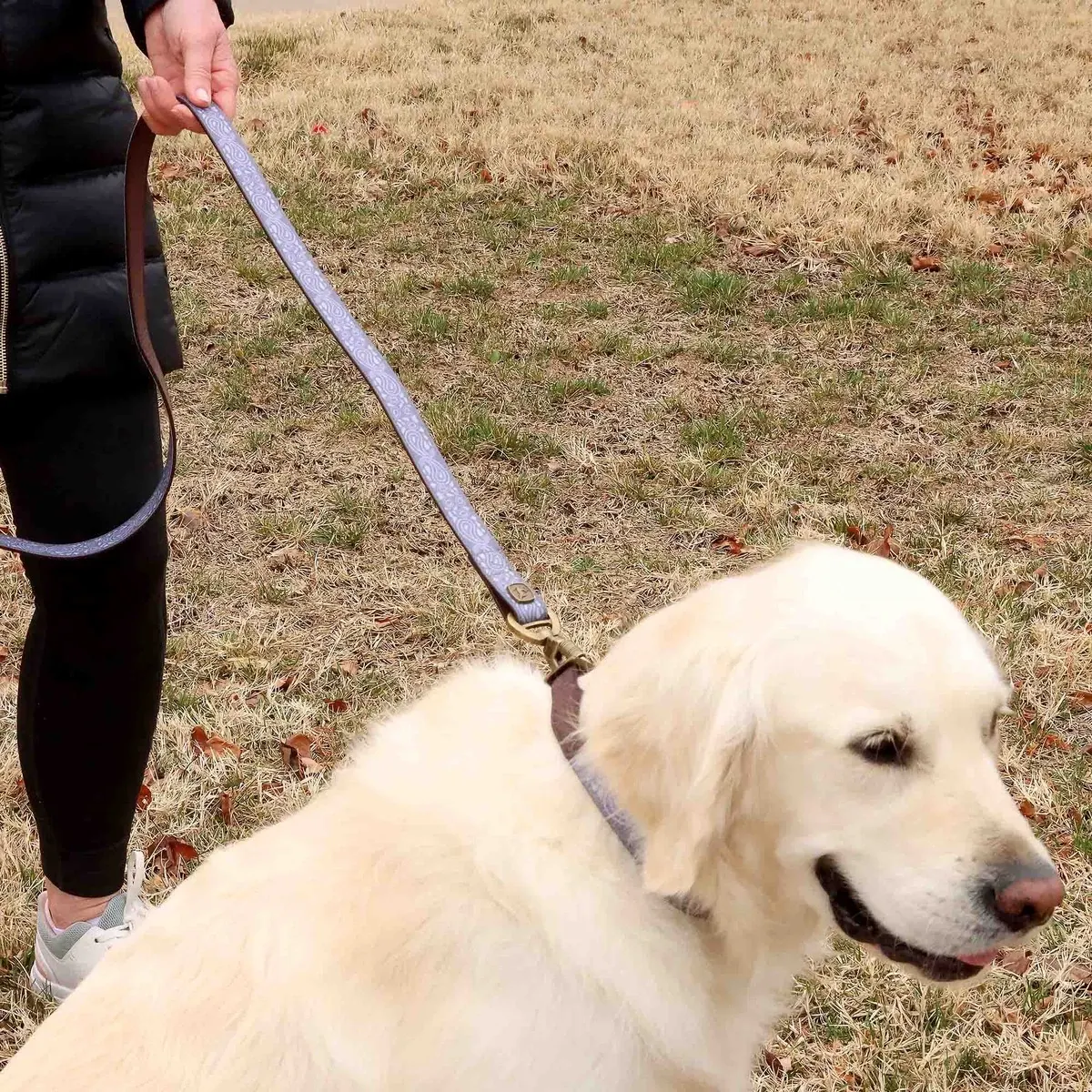 Patterened 5ft Dog Leash