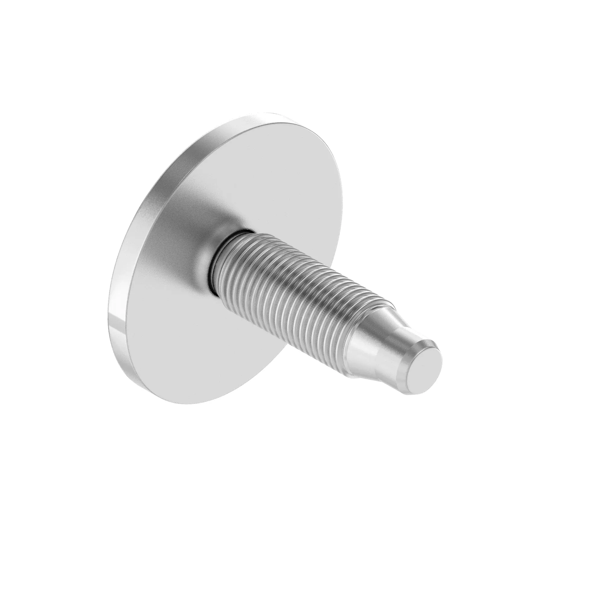 SCREW WITH WASHER