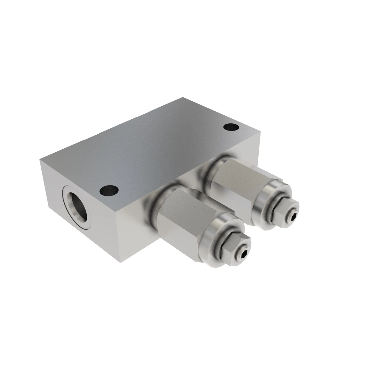 Dual Counter Balance Valve