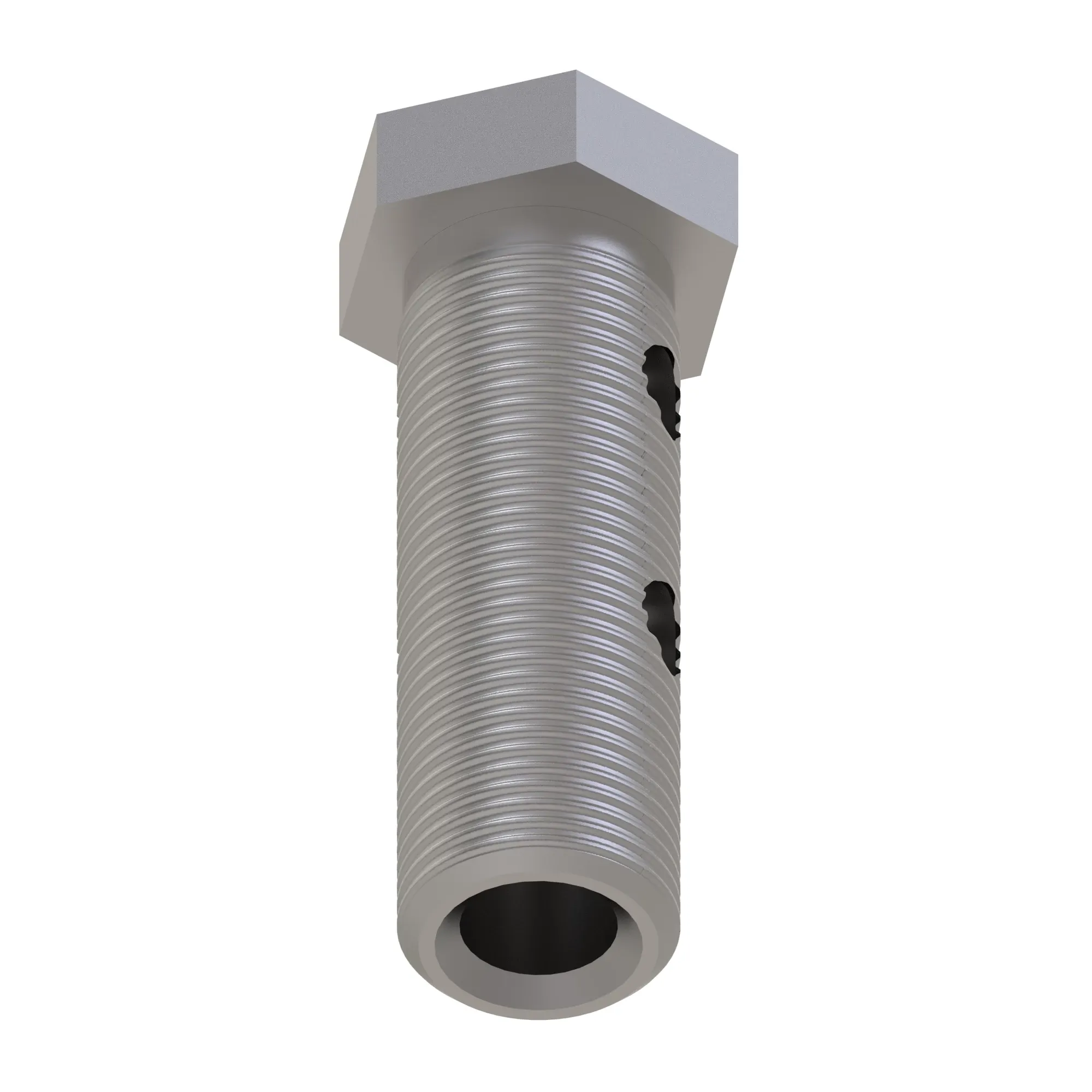 Hollow Screw