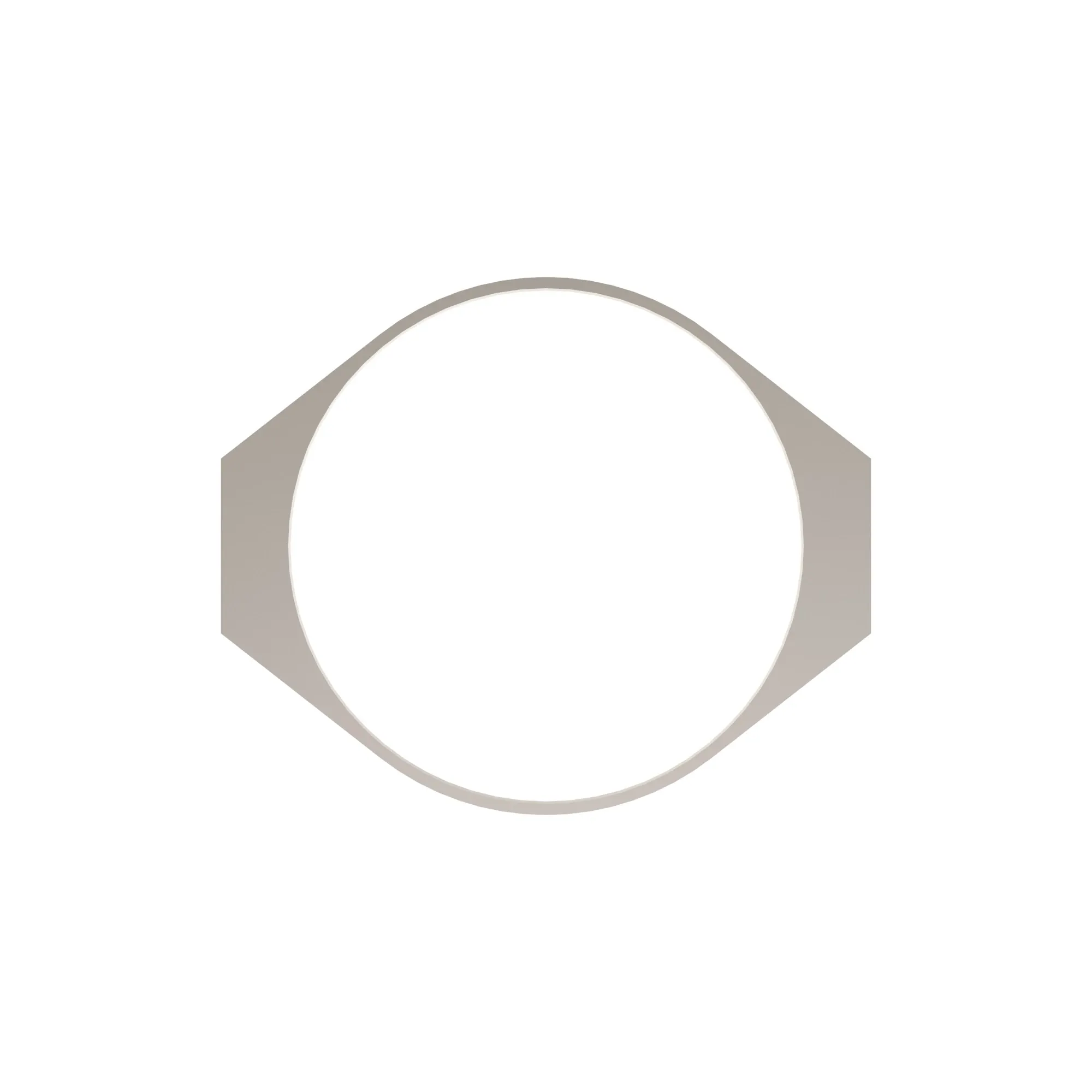 Hose Clamp