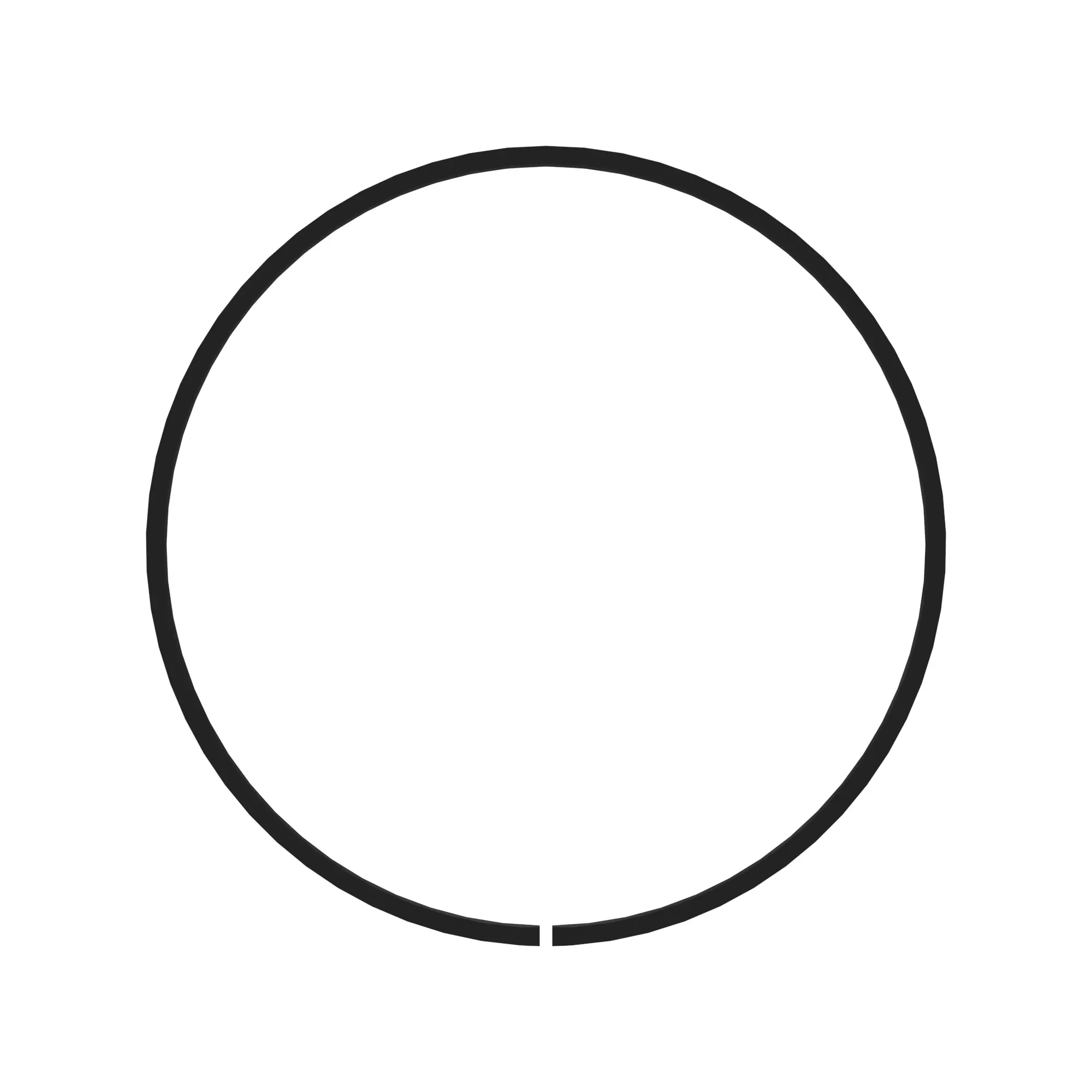 Sealing Ring
