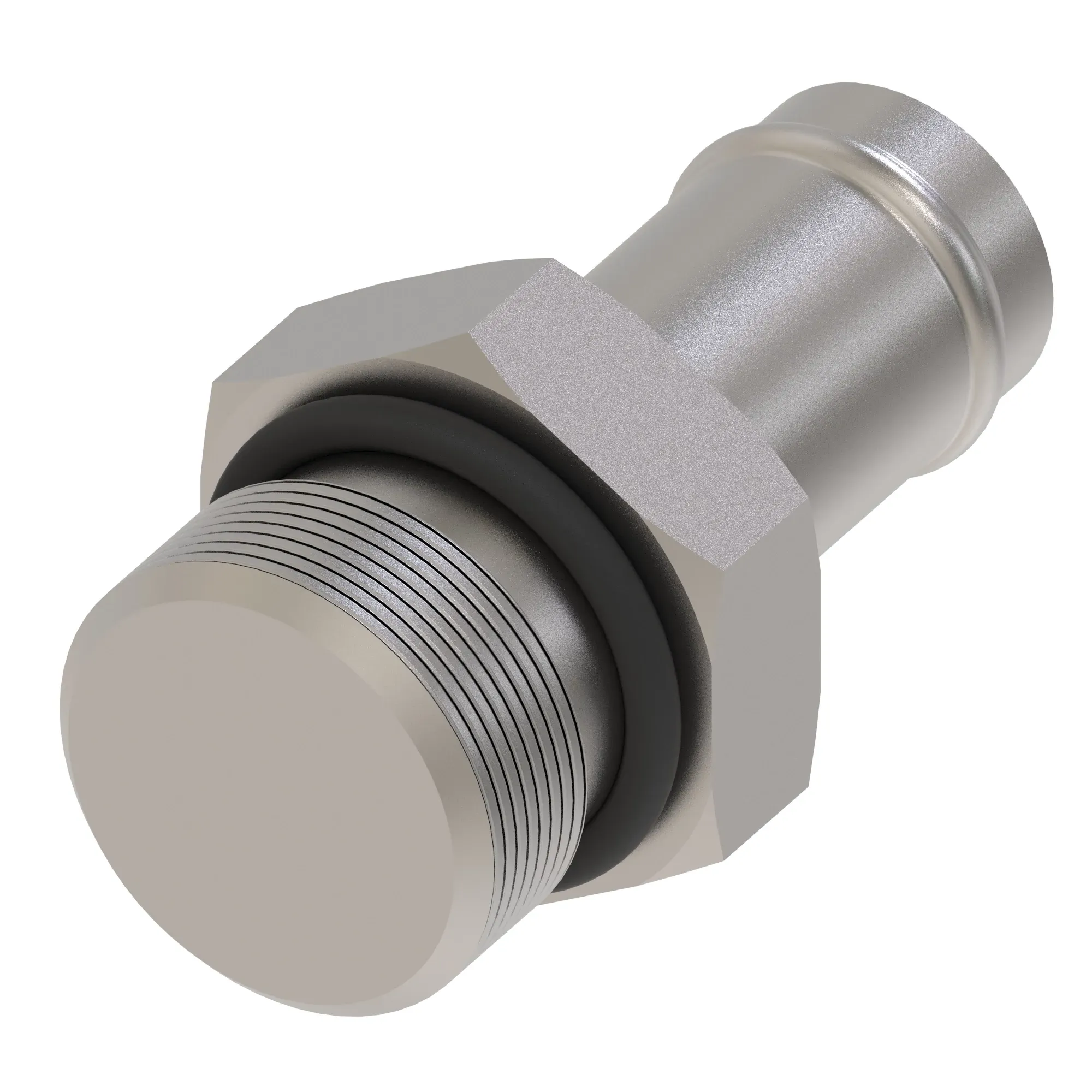 Check Valve