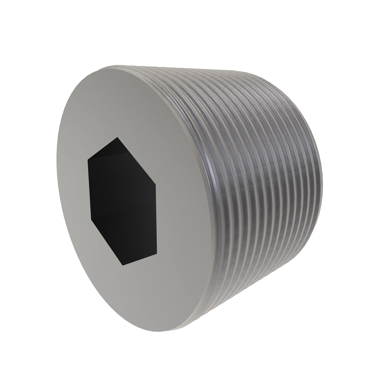 Fitting, Pipe Plug