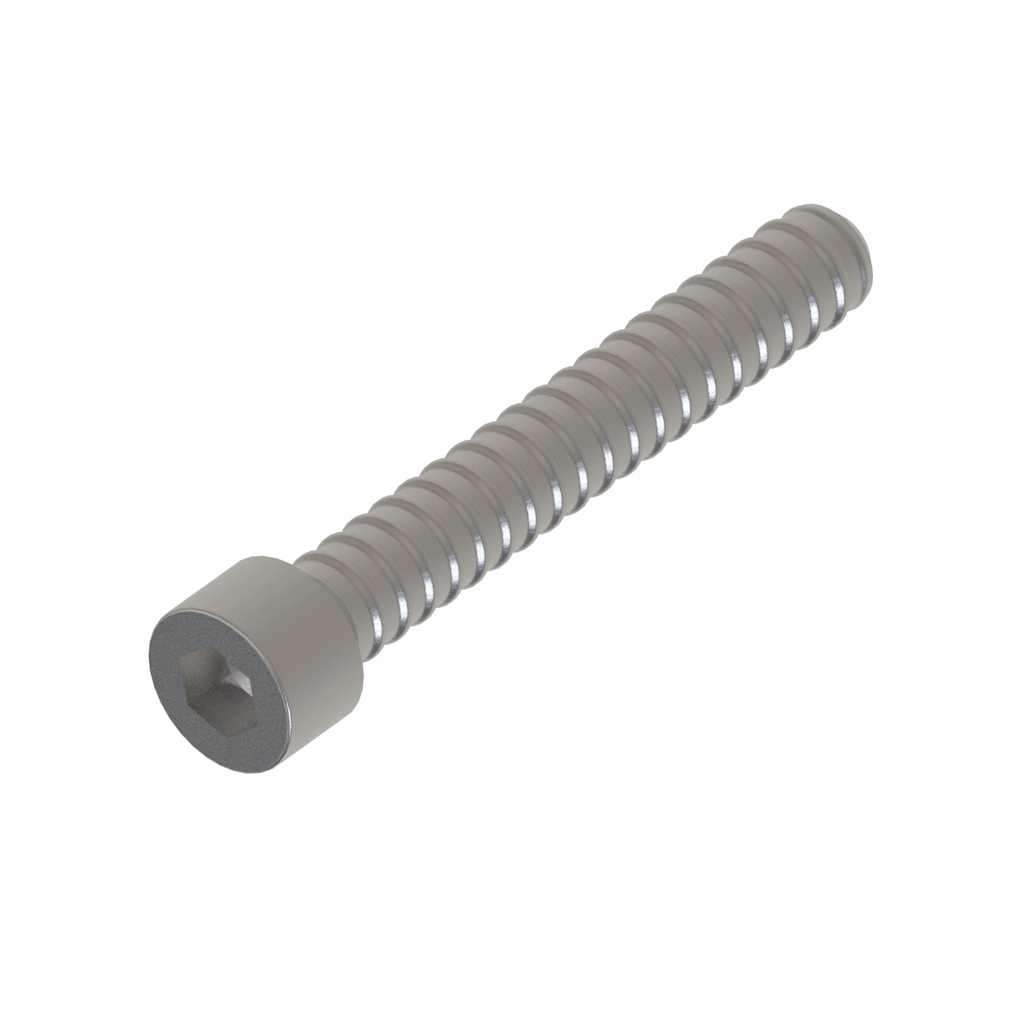 Socket Head Screw