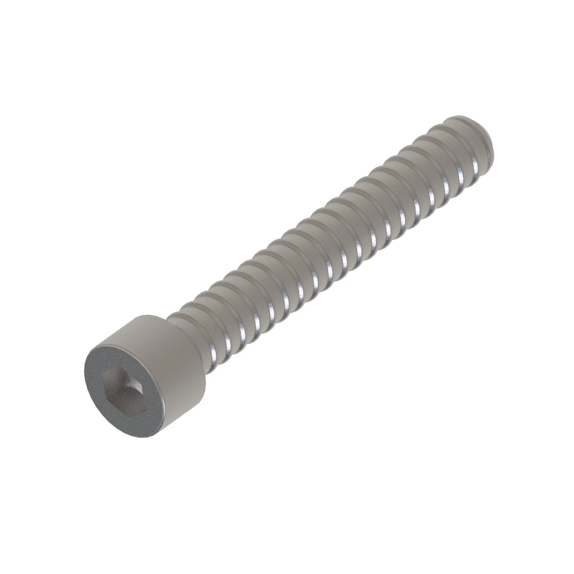 Socket Head Screw