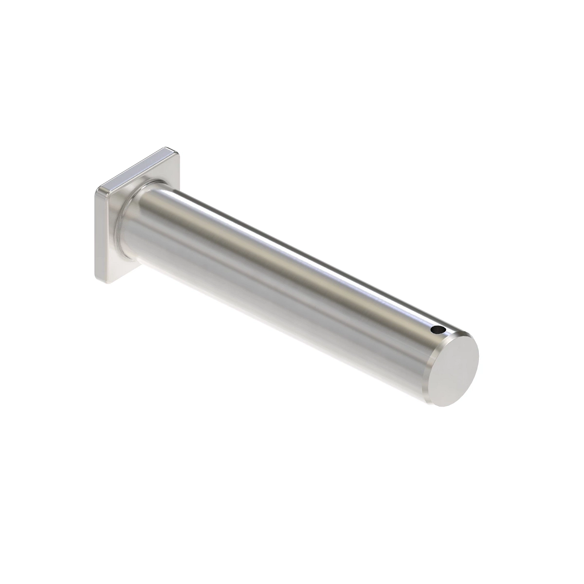 Pin Assembly