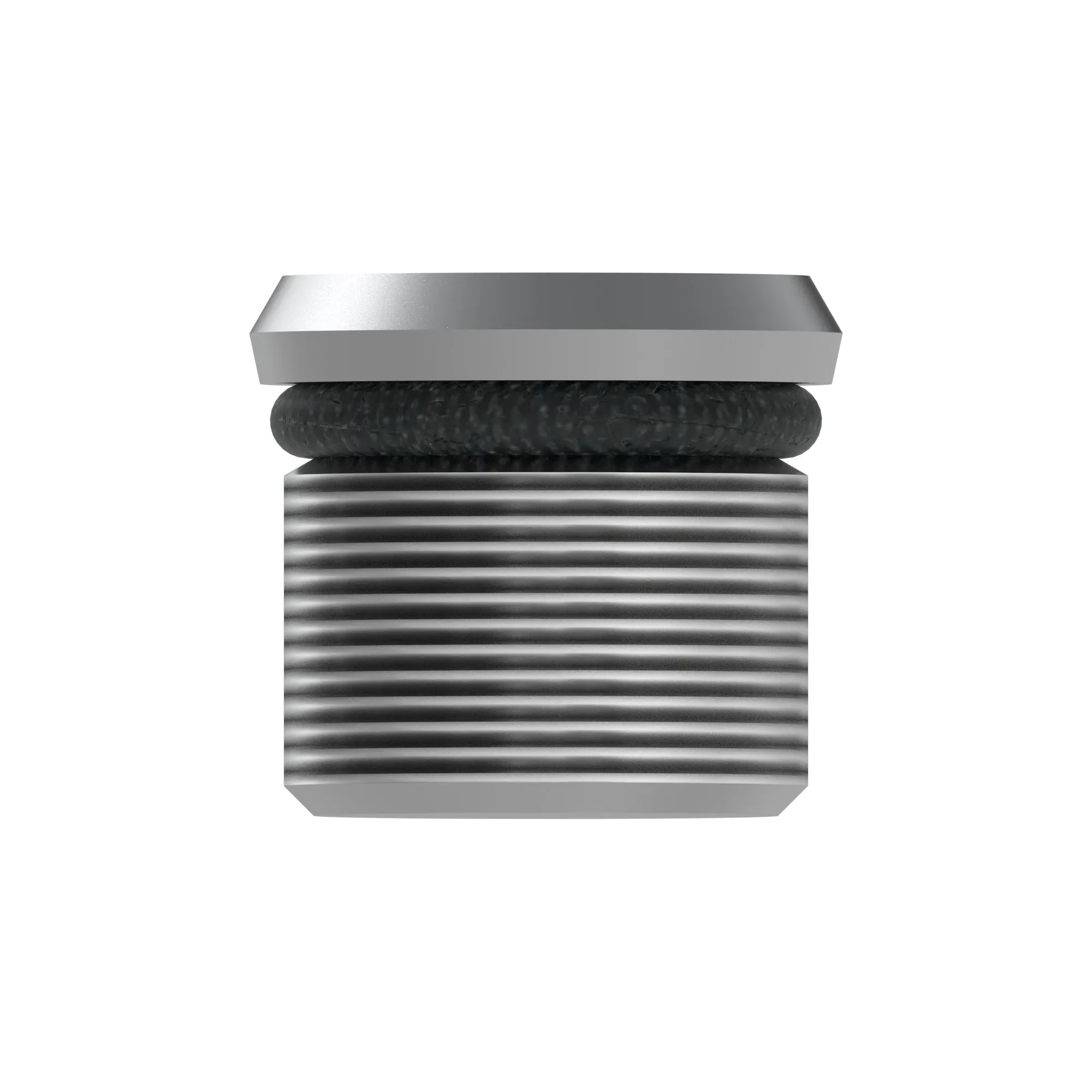 Fitting Plug