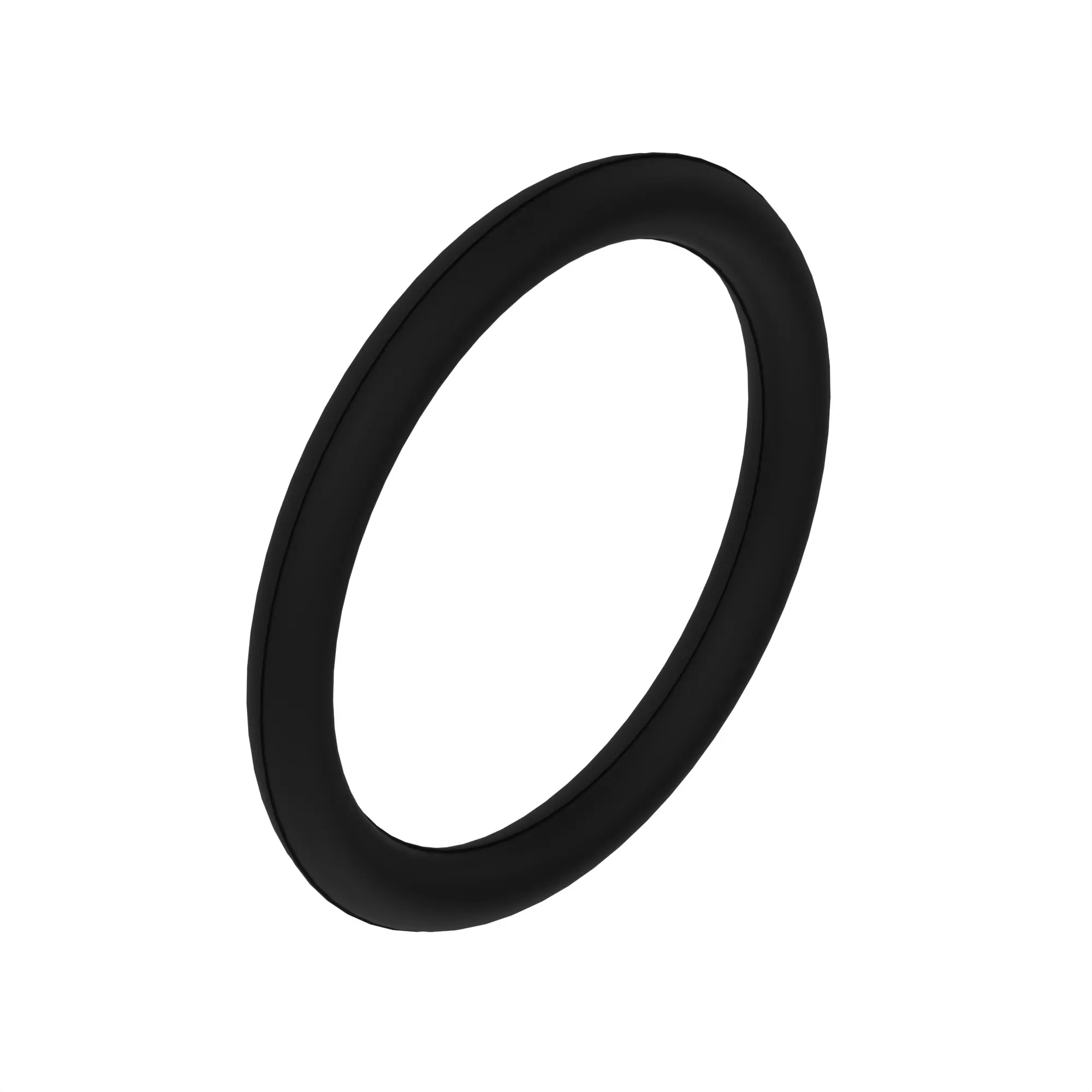 U42702: O-Ring