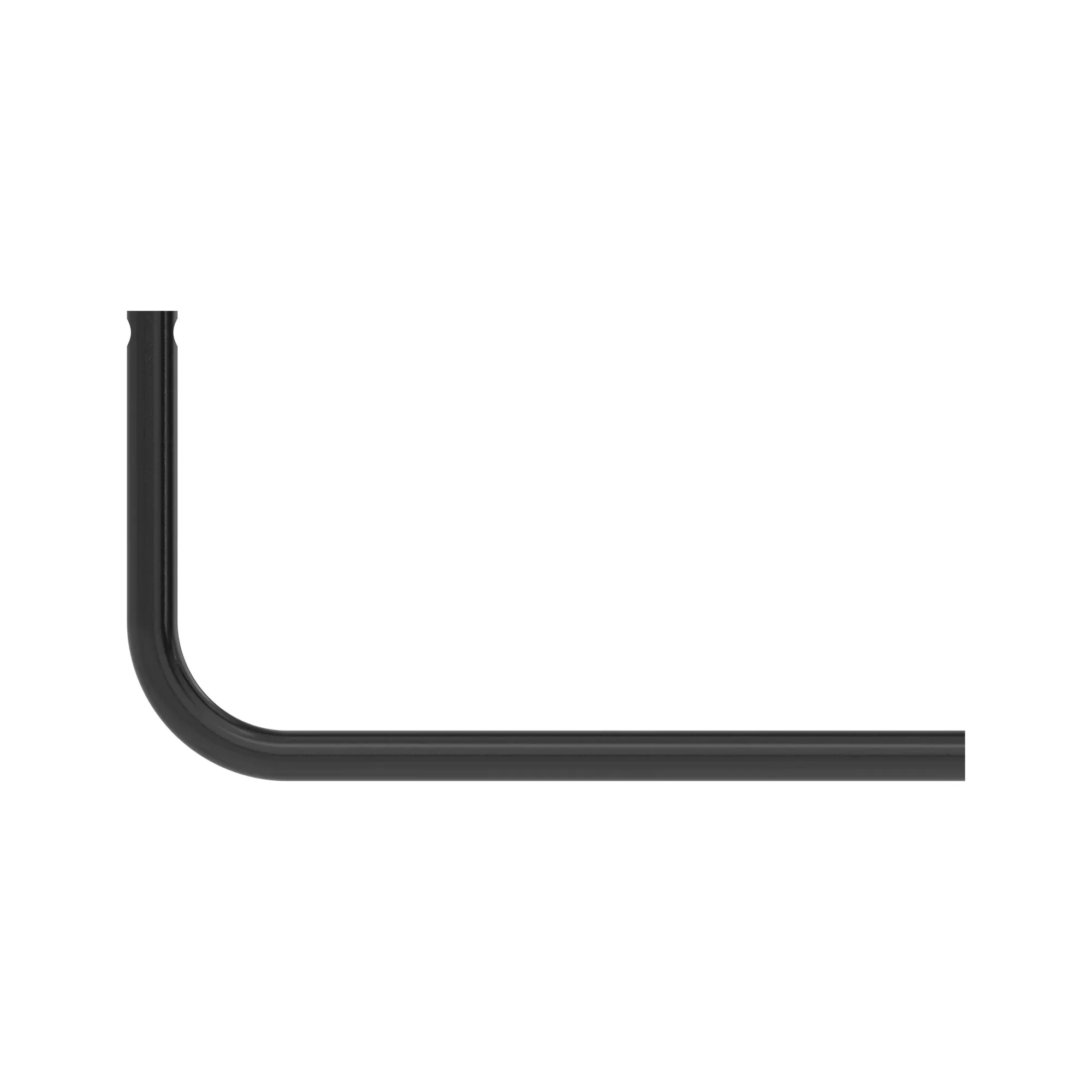 Rib