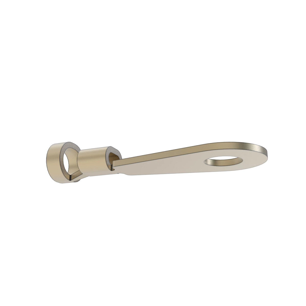 Term Delphi Ring M8