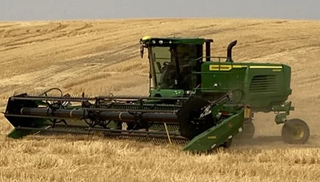 A self‑propelled windrower operating in a field of cut grain, showing its wide header collecting crop as it moves across the stubble