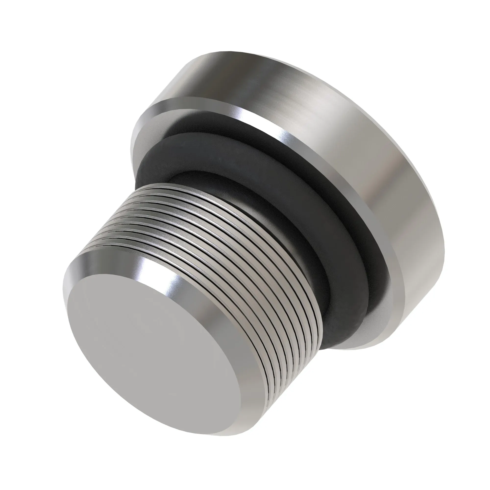 Fitting Plug