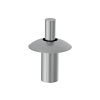 Rivet