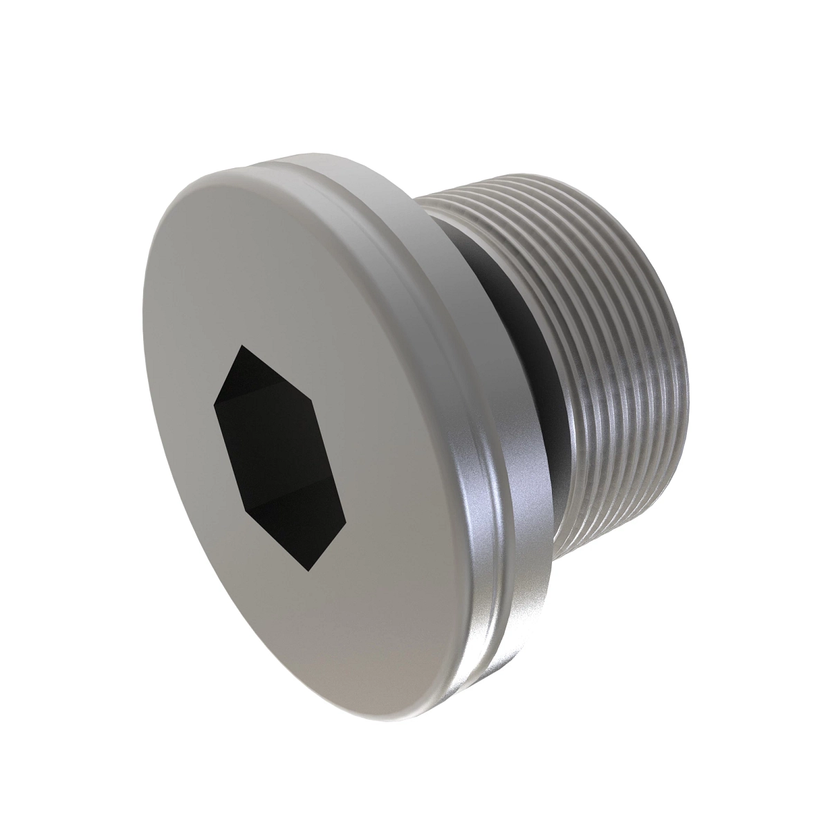Drain Plug, Hollow Hex Head Electro