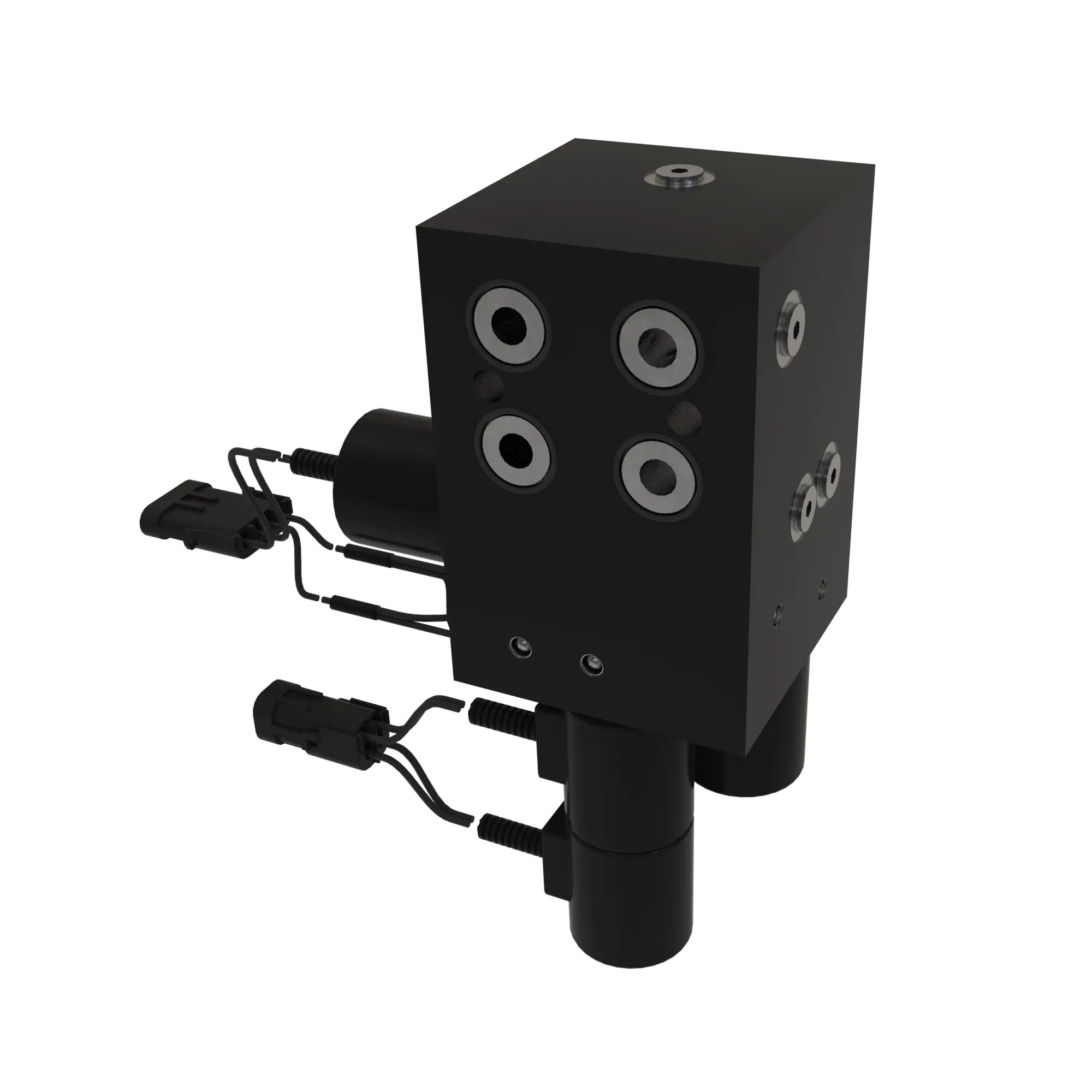 MANIFOLD ASSEMBLY
