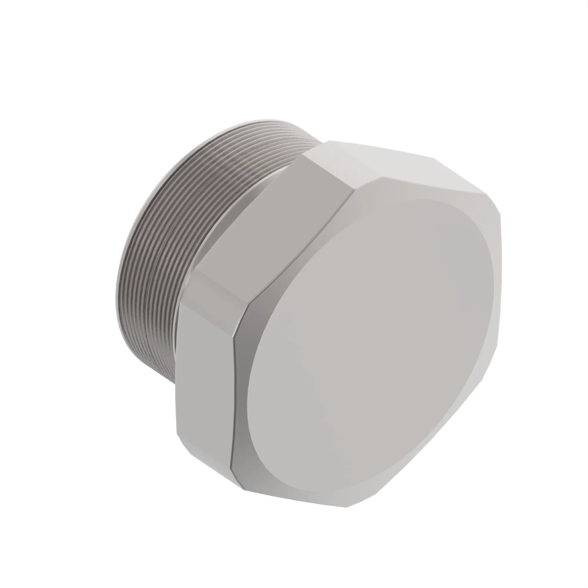 FITTING PLUG