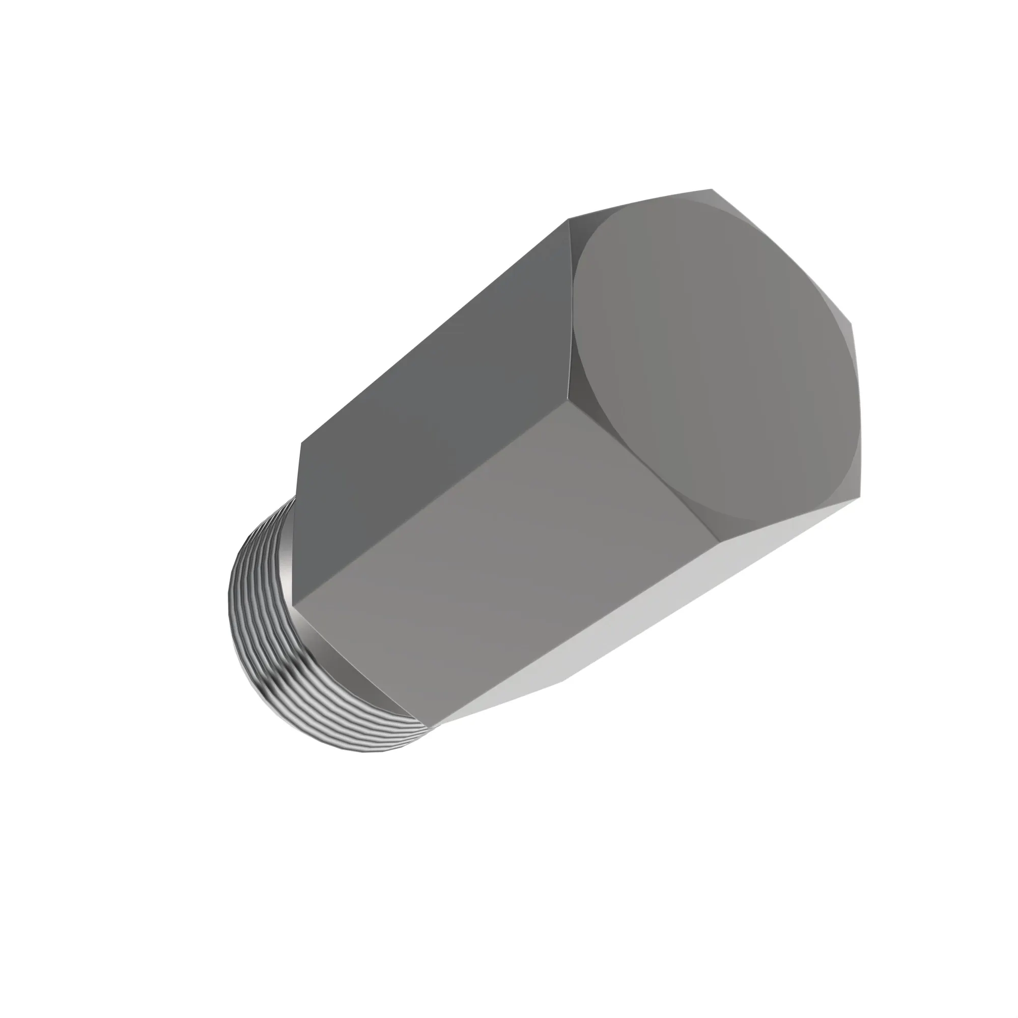 Fitting Plug