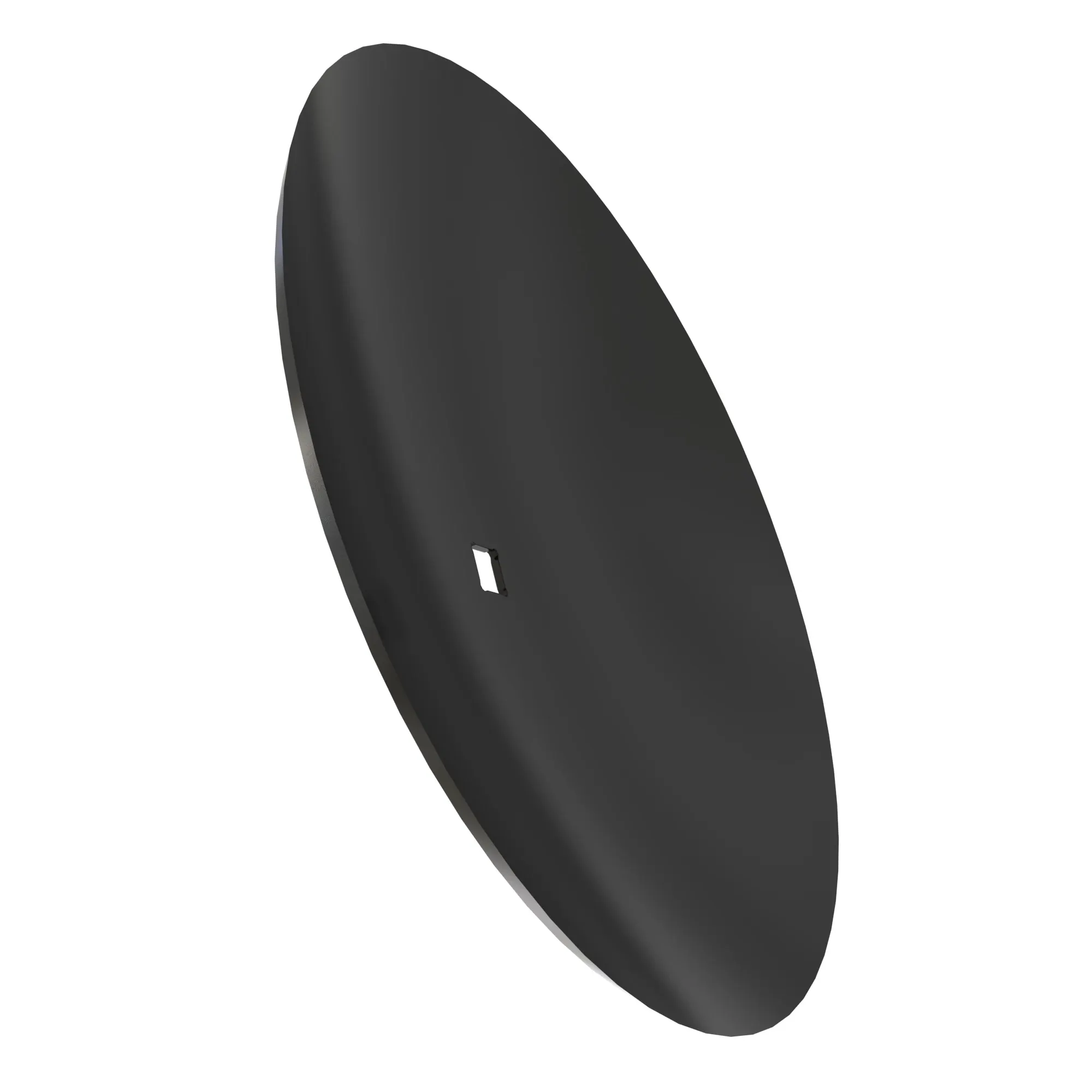Disk