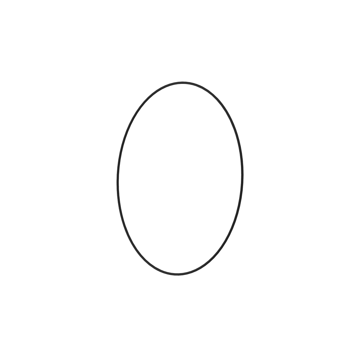 O-RING