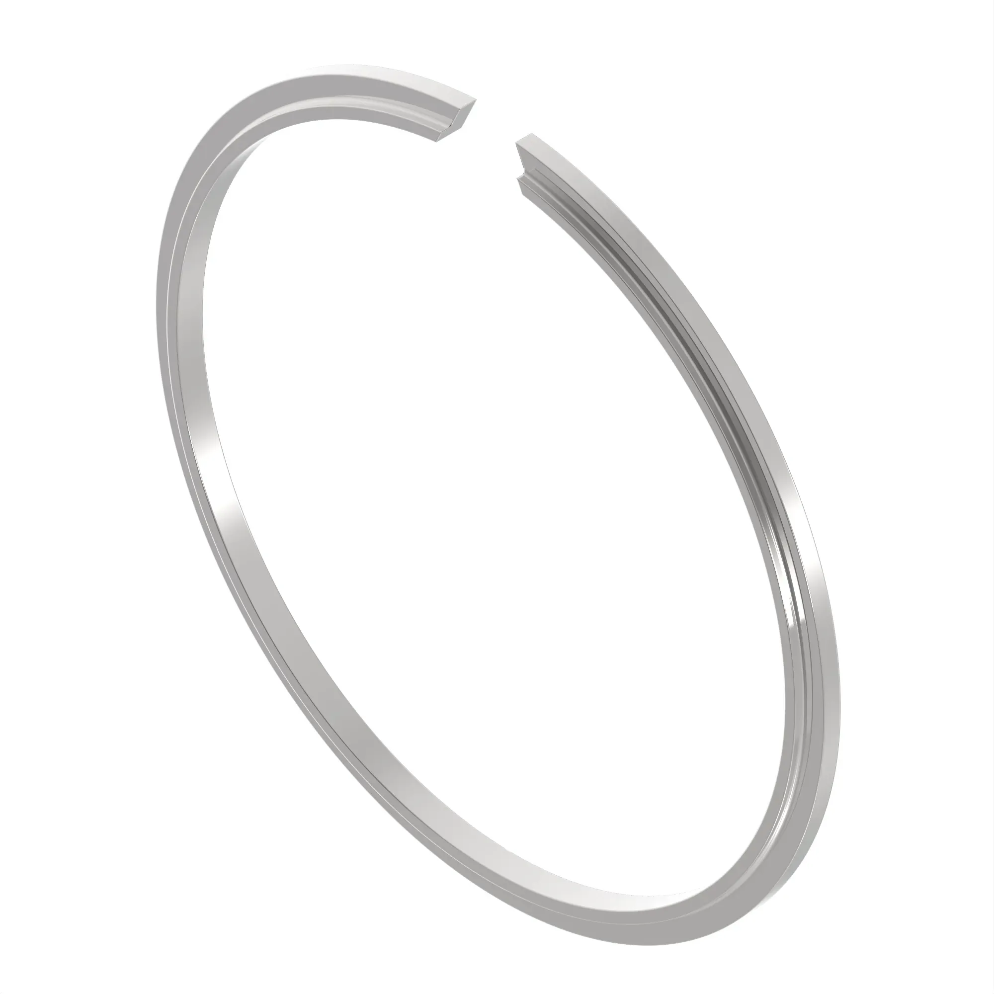 Snap ring