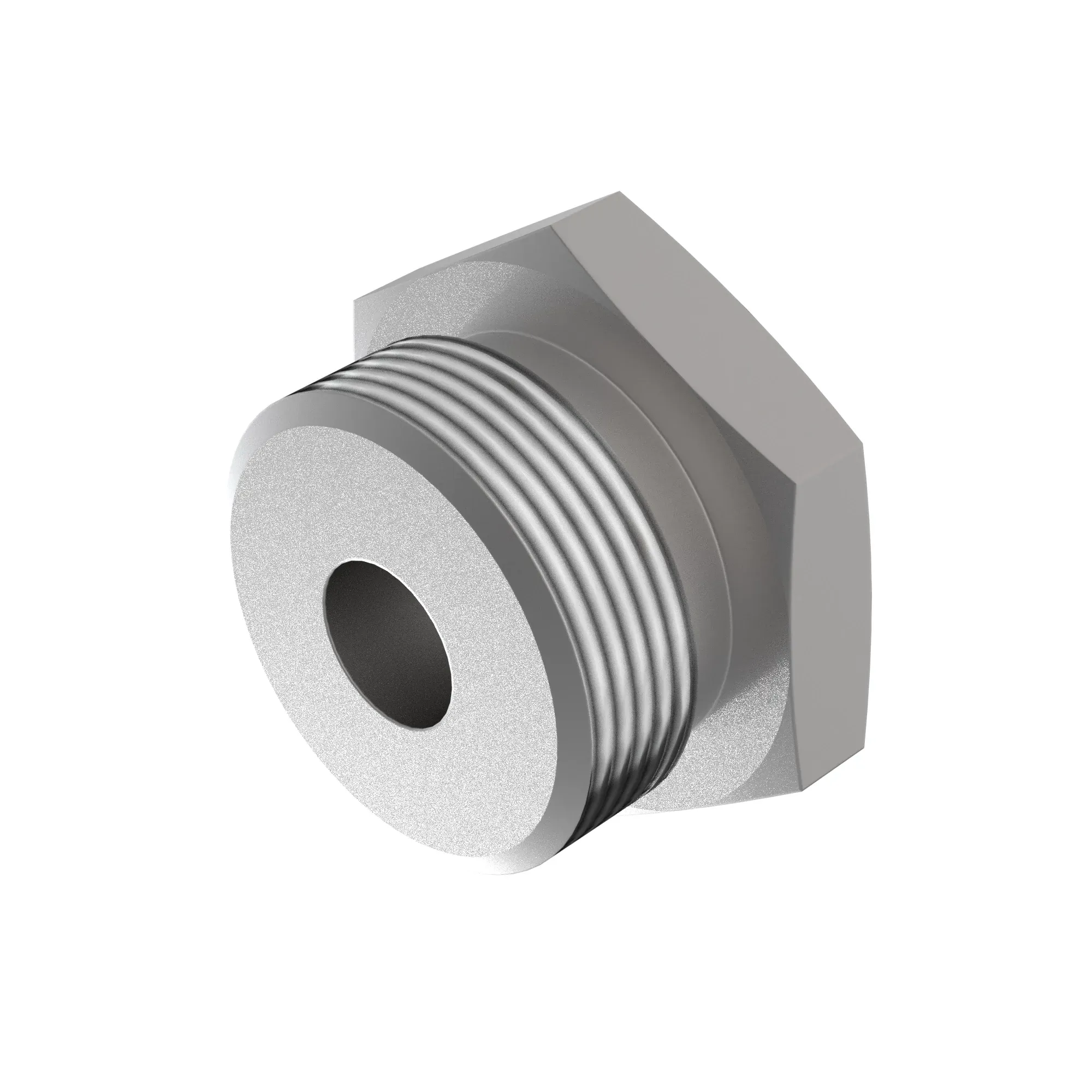 Fitting Plug