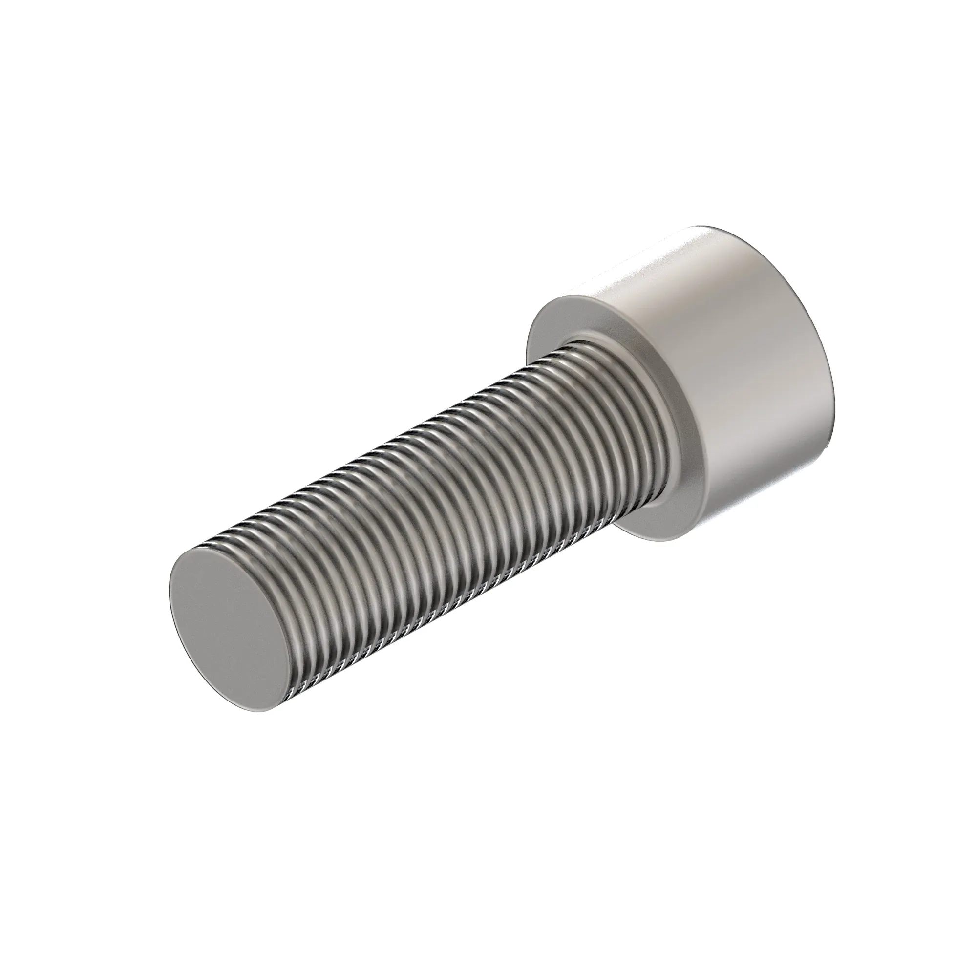 Socket Head Screw