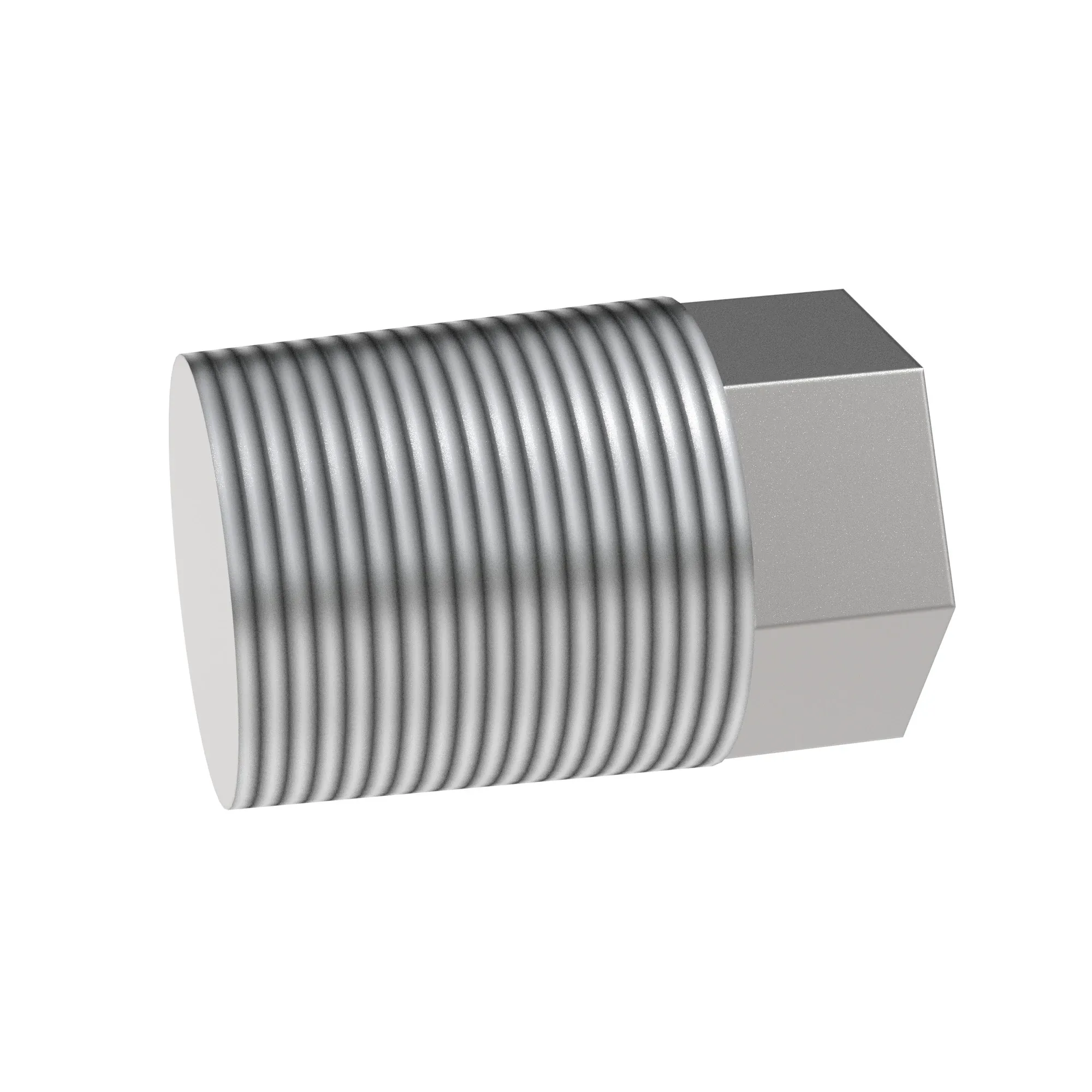 Pipe Plug