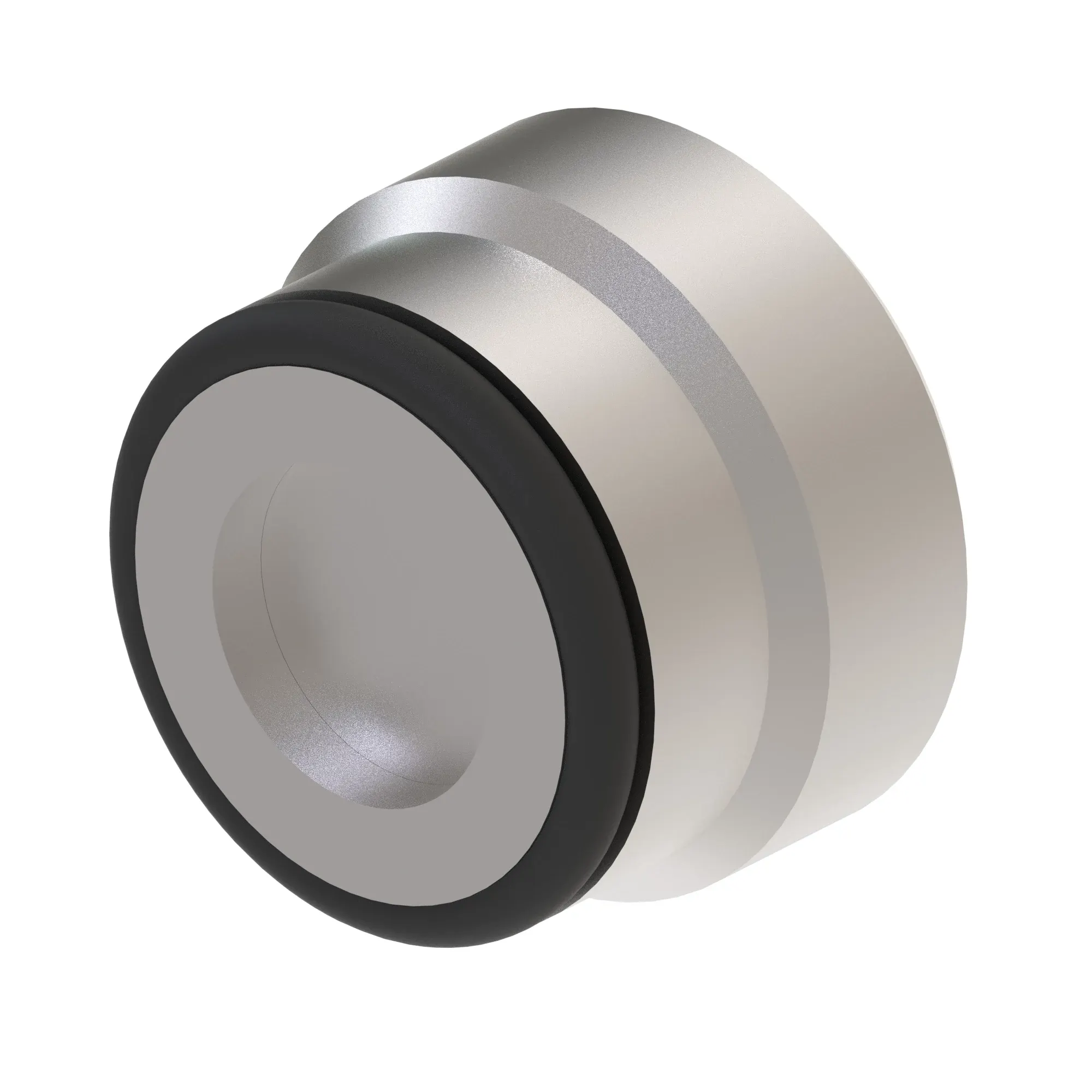 Check Valve