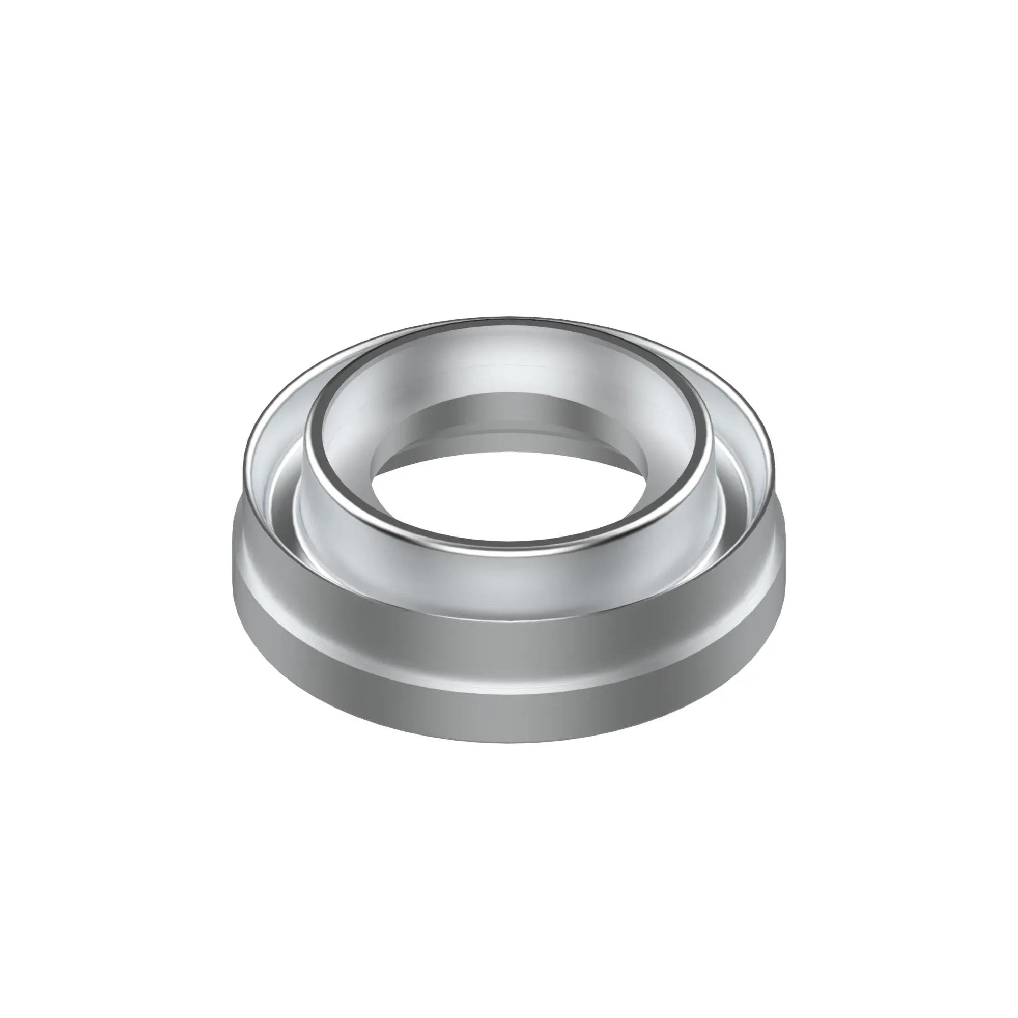 Sealing Ring
