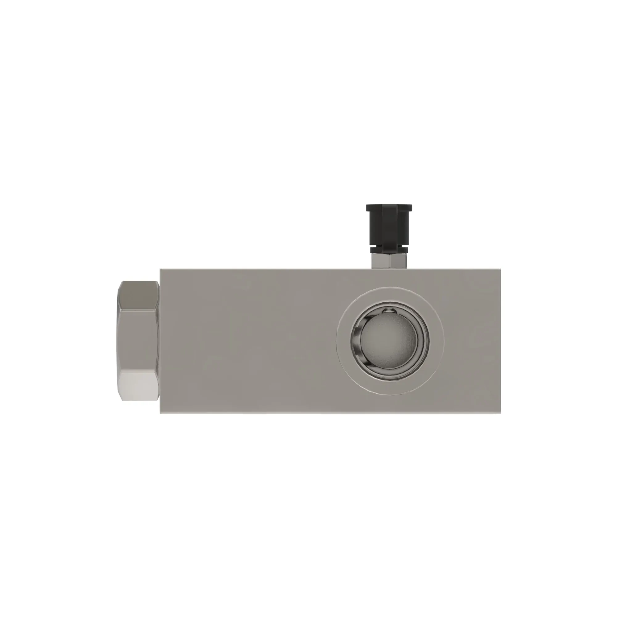 Manifold