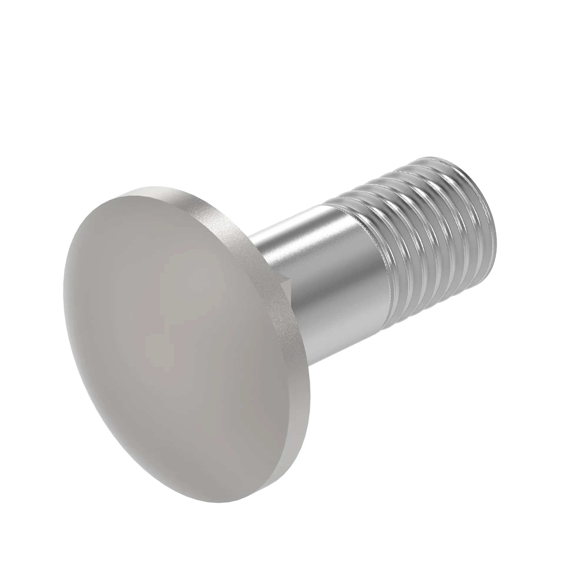 BOLT COATED