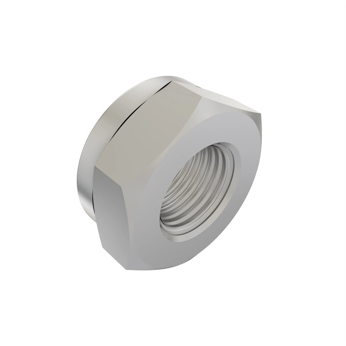 L32843: Hexagonal Stake Nut, M28.6