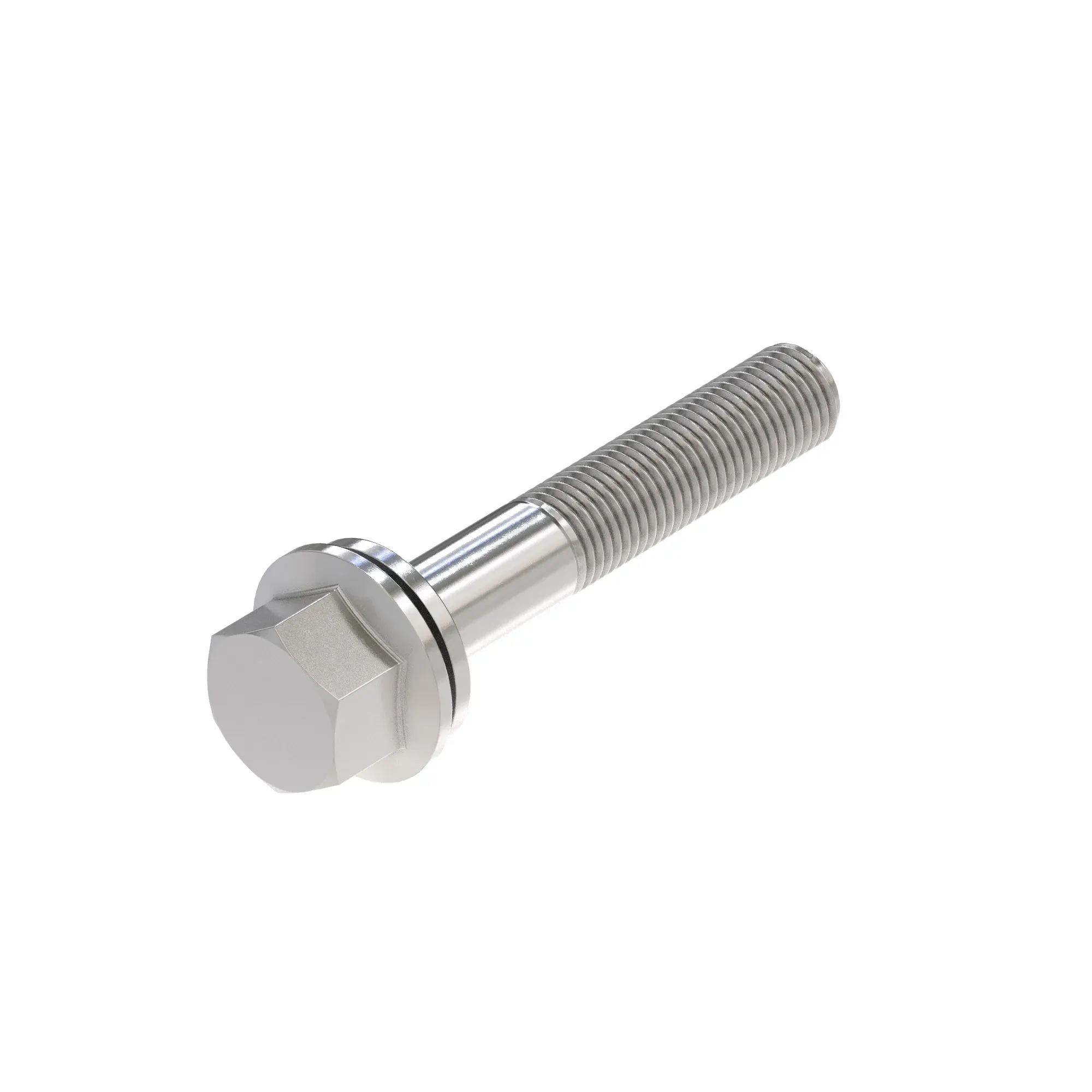 SCREW WITH WASHER