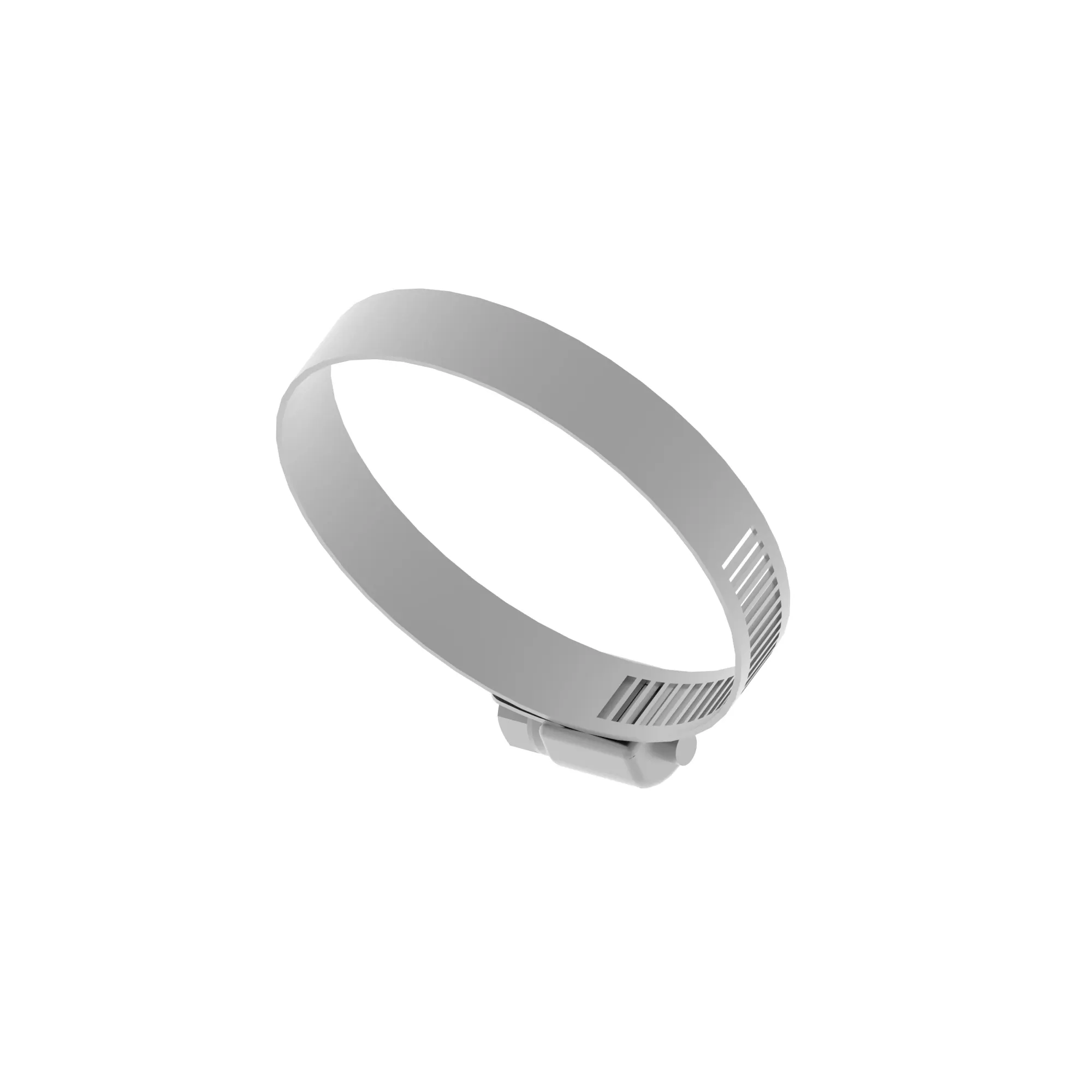 Hose Clamp