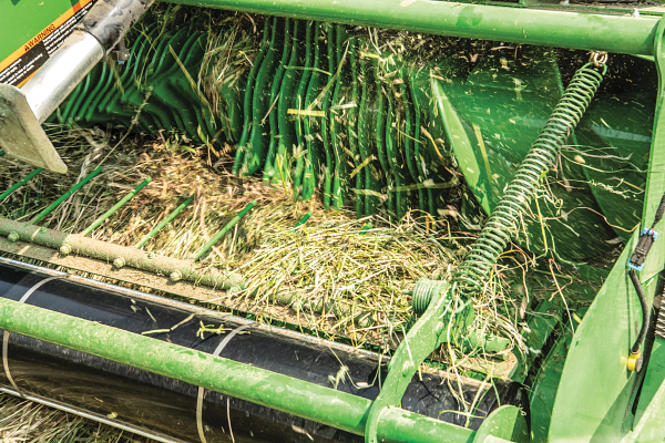 Close-up of a John Deere baler pickup showing rotating green tine bars and feed rollers lifting and guiding cut hay into the baling chamber.