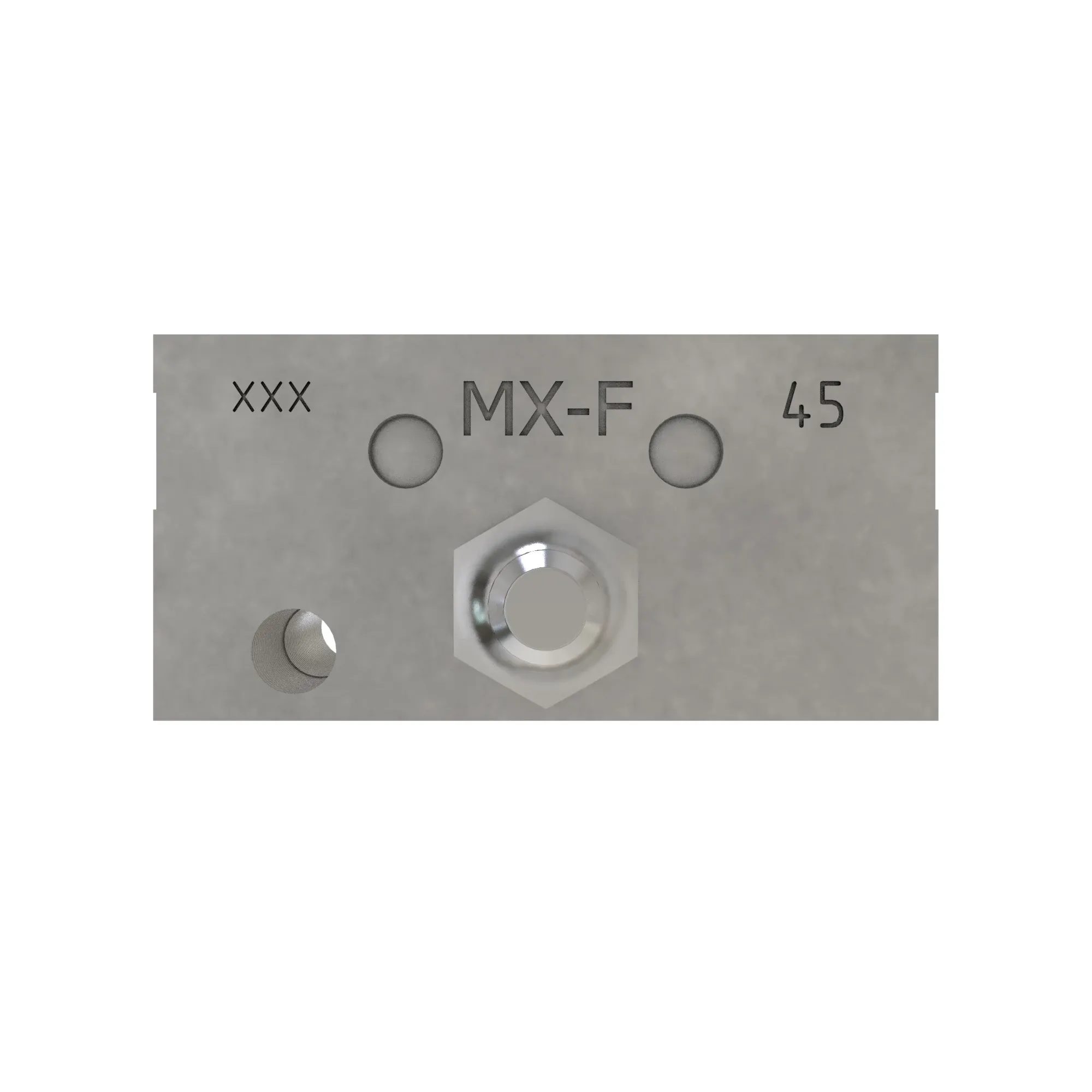 Manifold