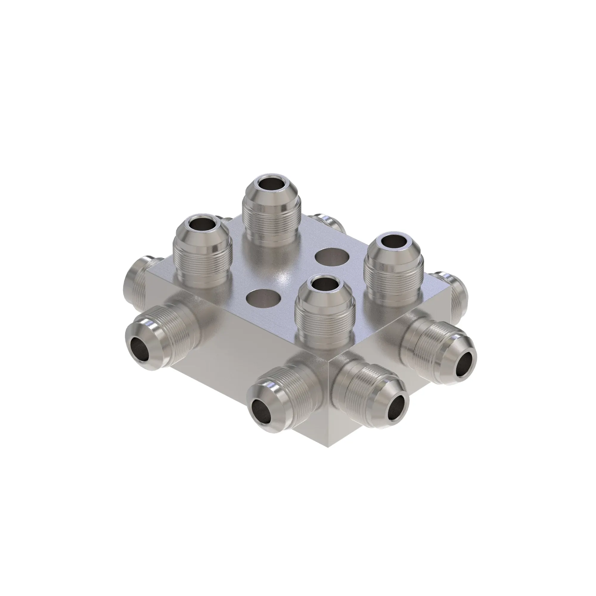 Manifold