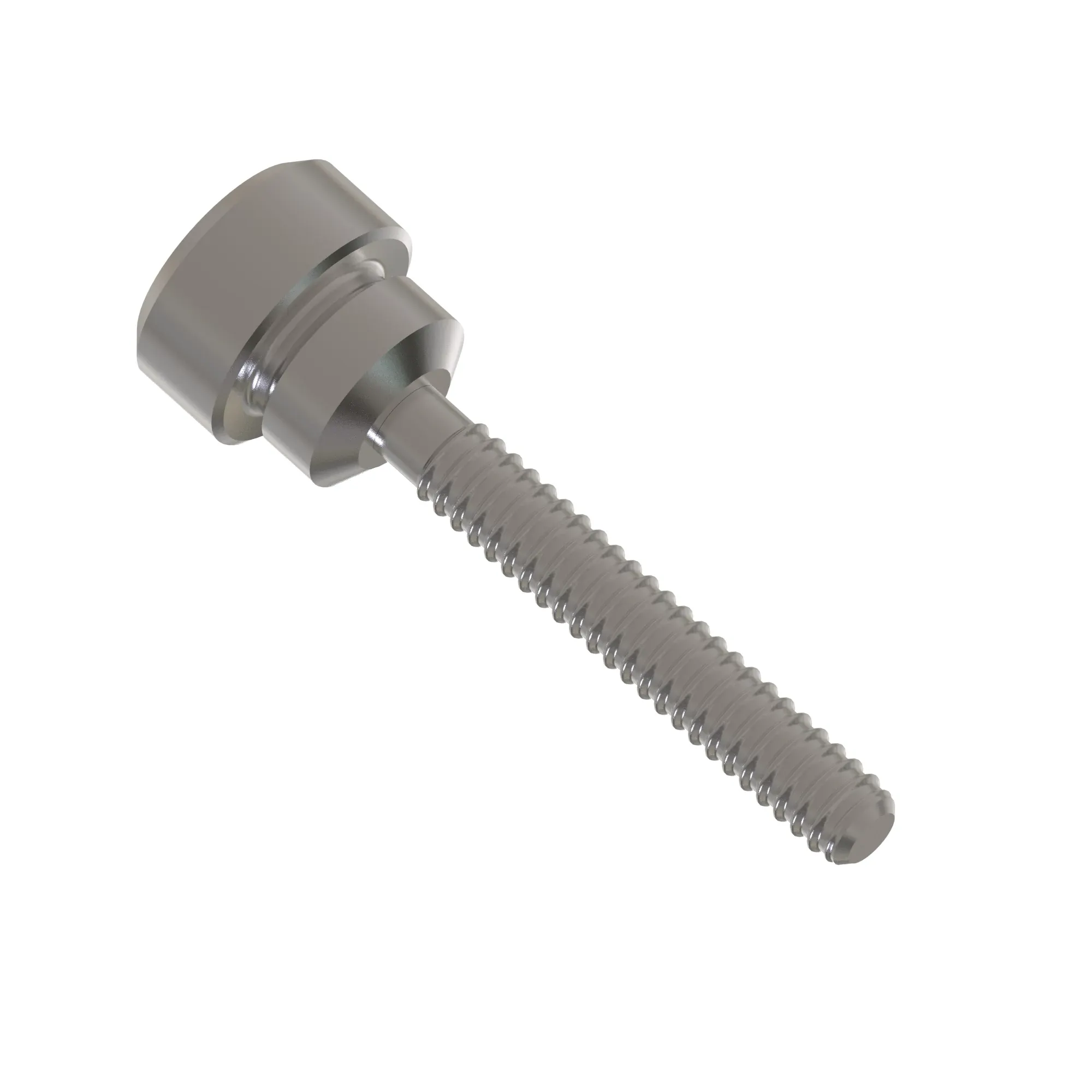 Screw