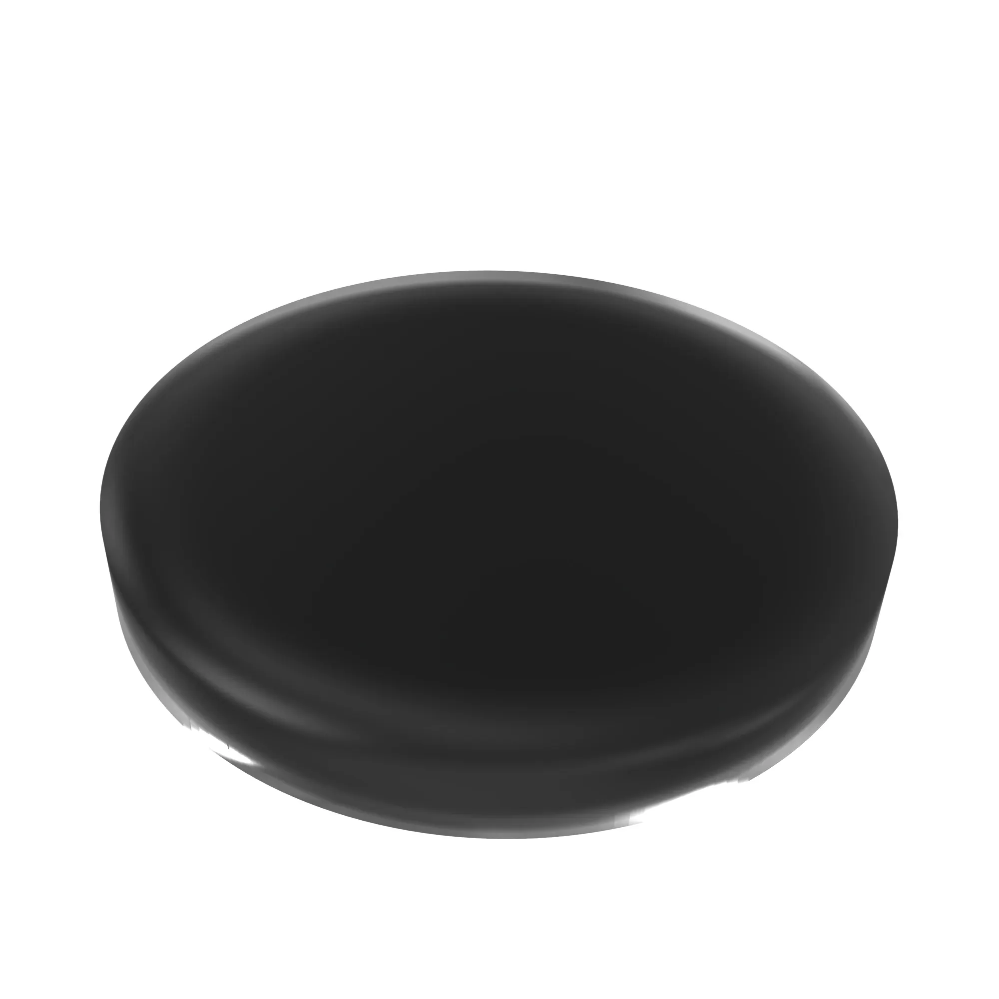 DISK, VALVE