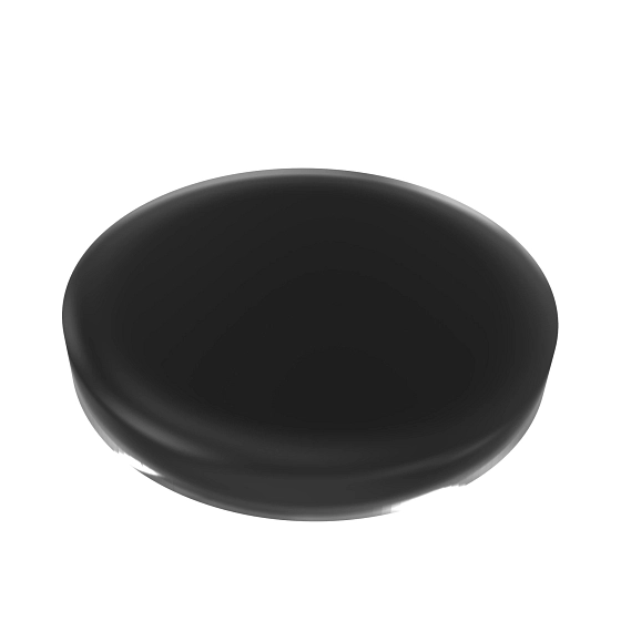 DISK, VALVE