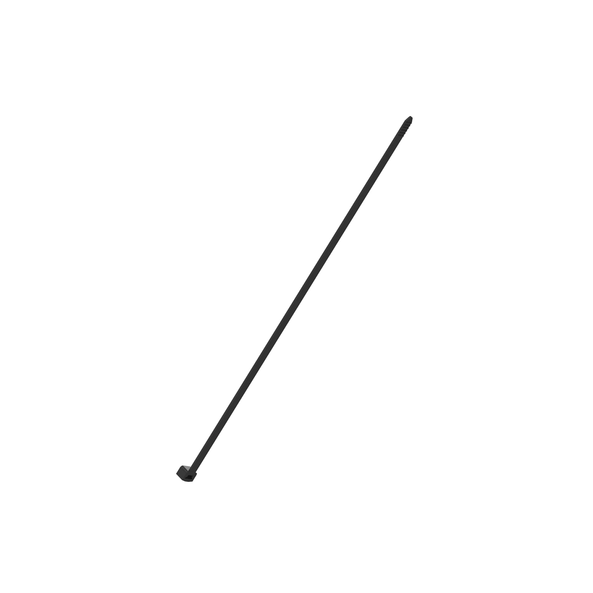 Tie Band