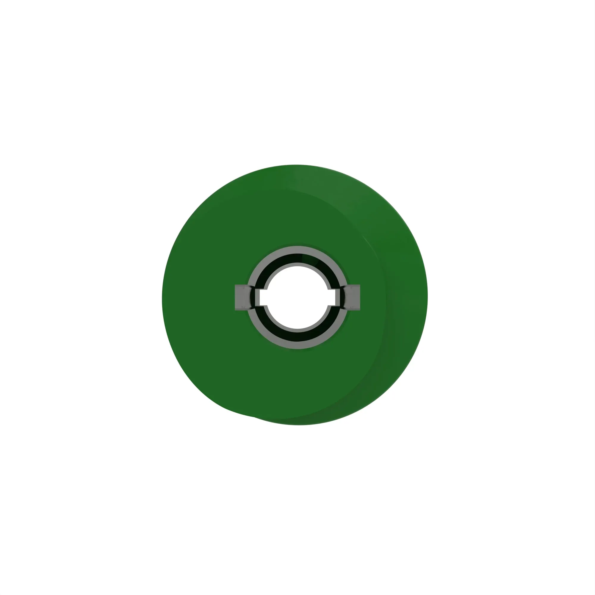Worm Gear