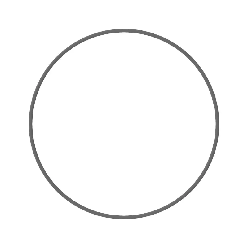 O-Ring